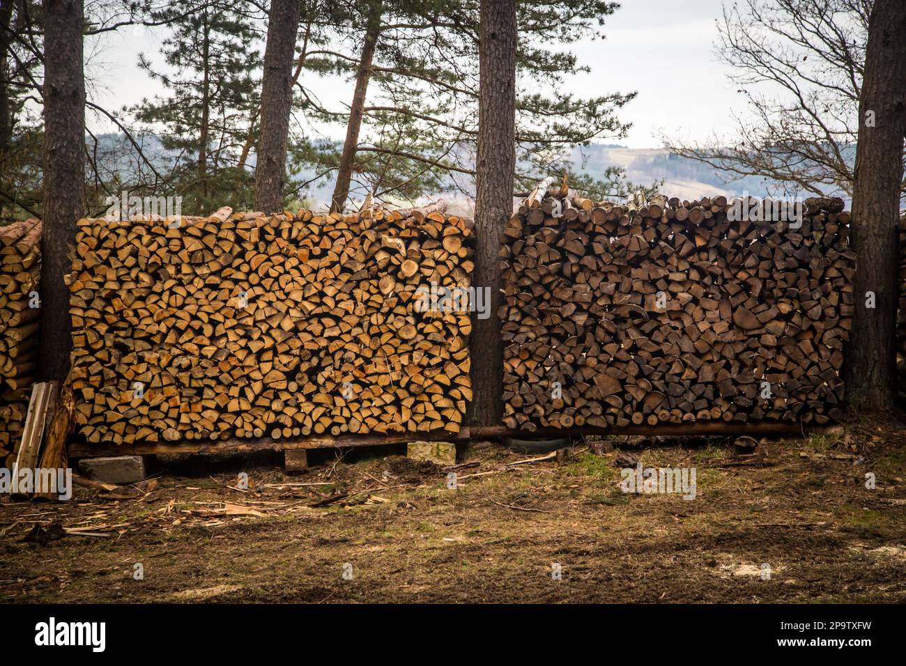 Firewood on a wood stack, Waldviertel, Austria Stock Photo