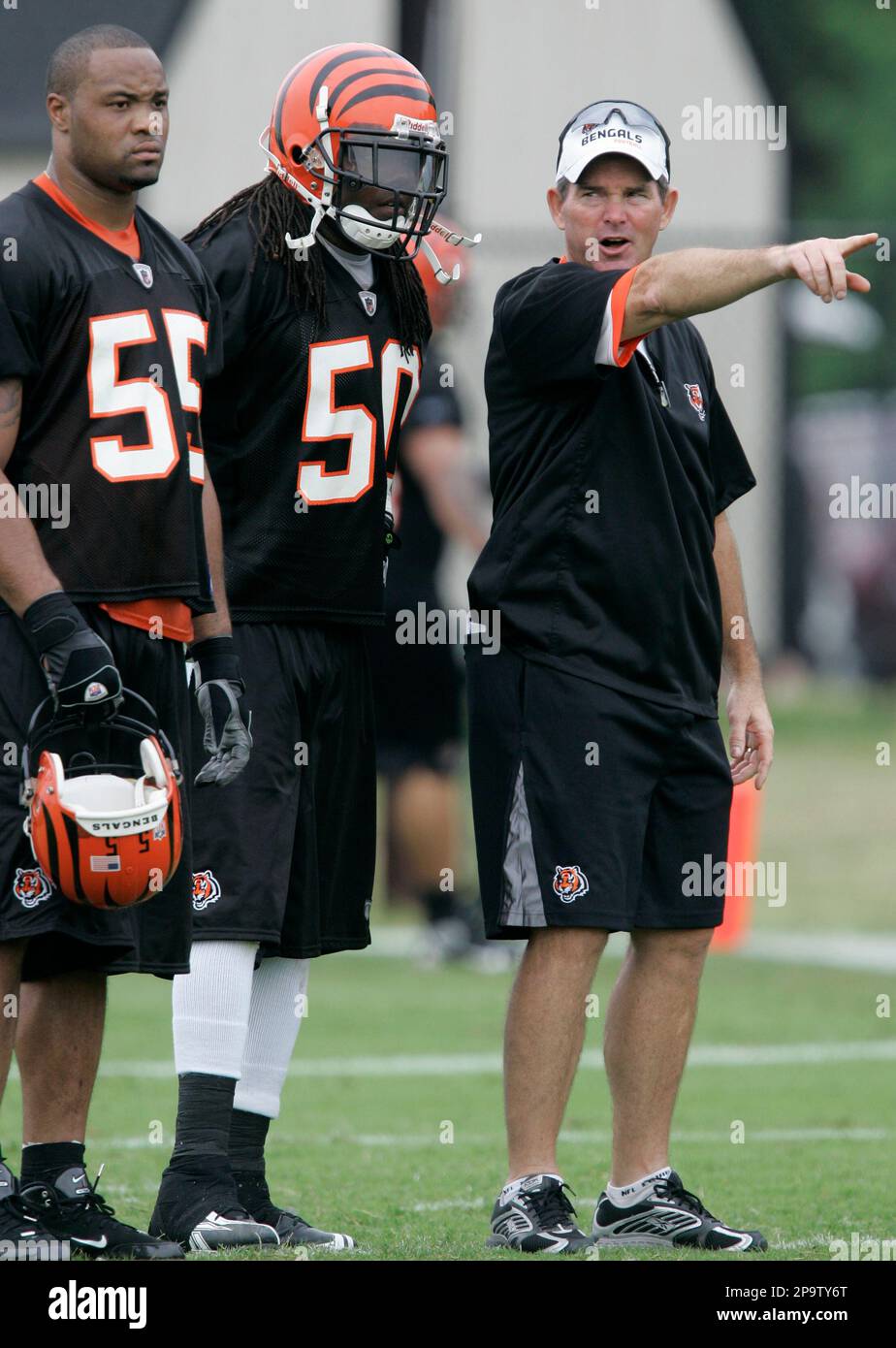 Cincinnati Bengals defensive coordinator Mike Zimmer in action