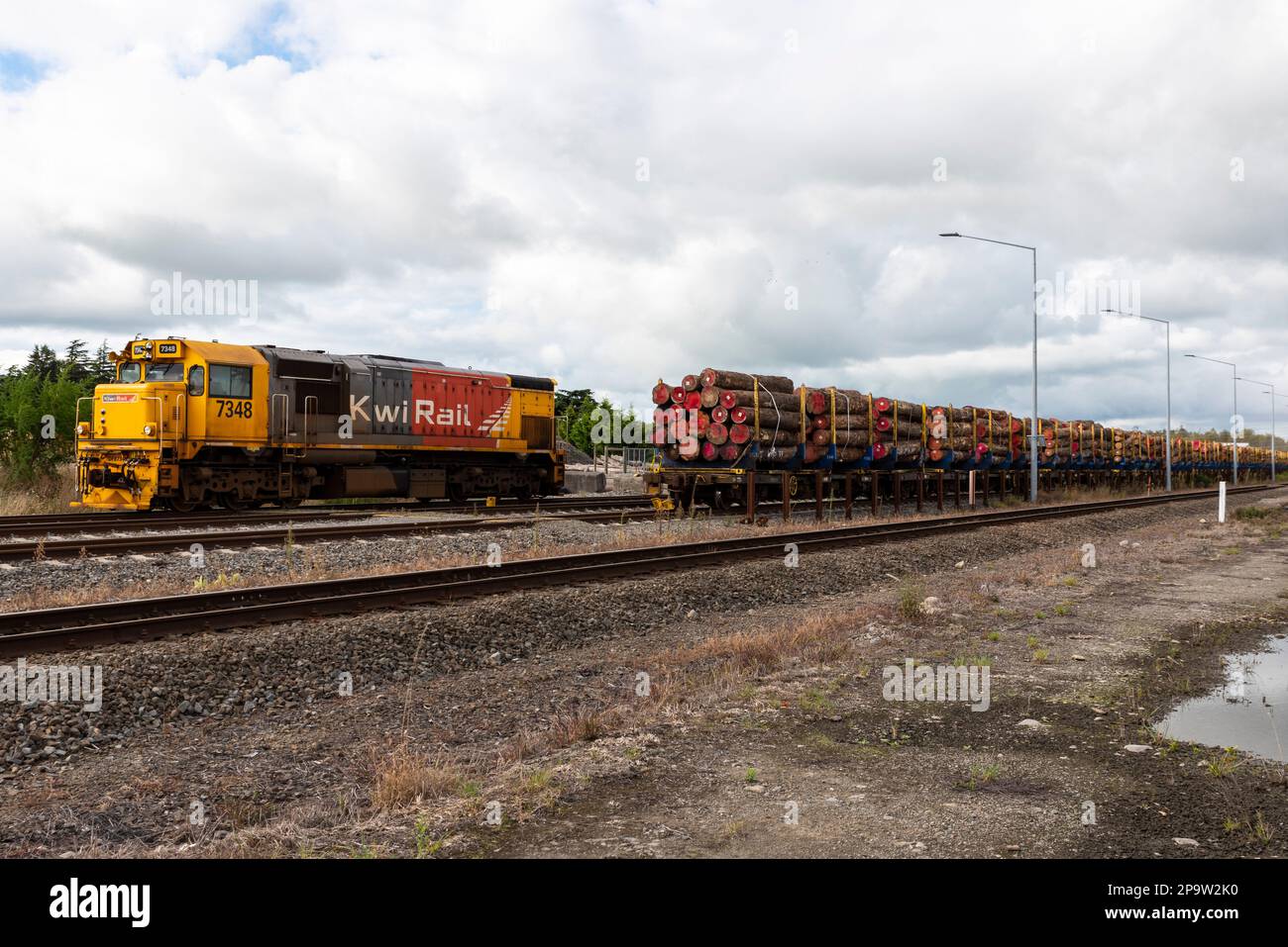 KiwiRail locomotive in a yard with timber loaded onto wagons in Masterton, Wairarapa, New Zealand. General Motors DF Class diesel electric loco Stock Photo