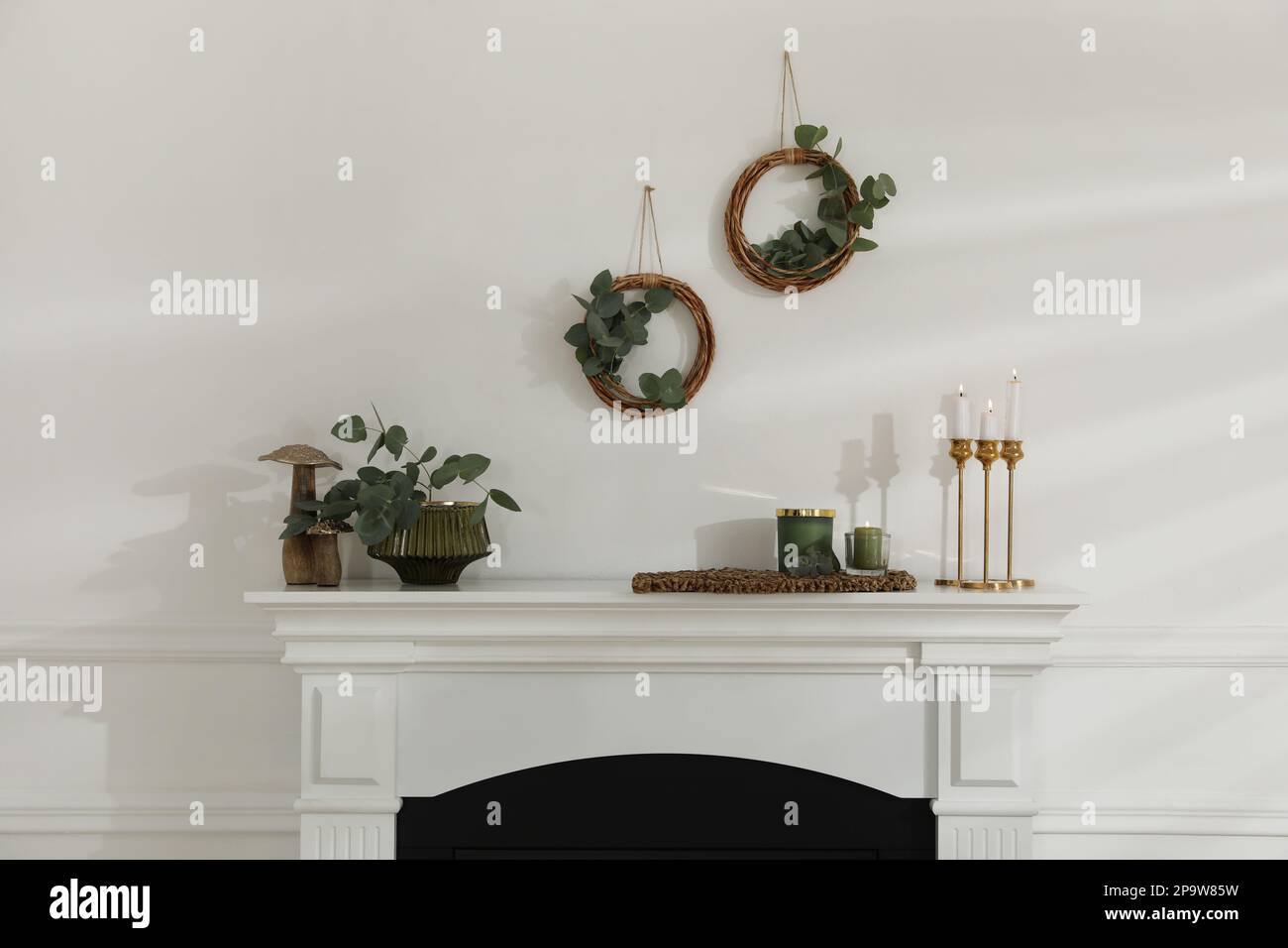 Stylish room with beautiful fireplace and eucalyptus branches Stock