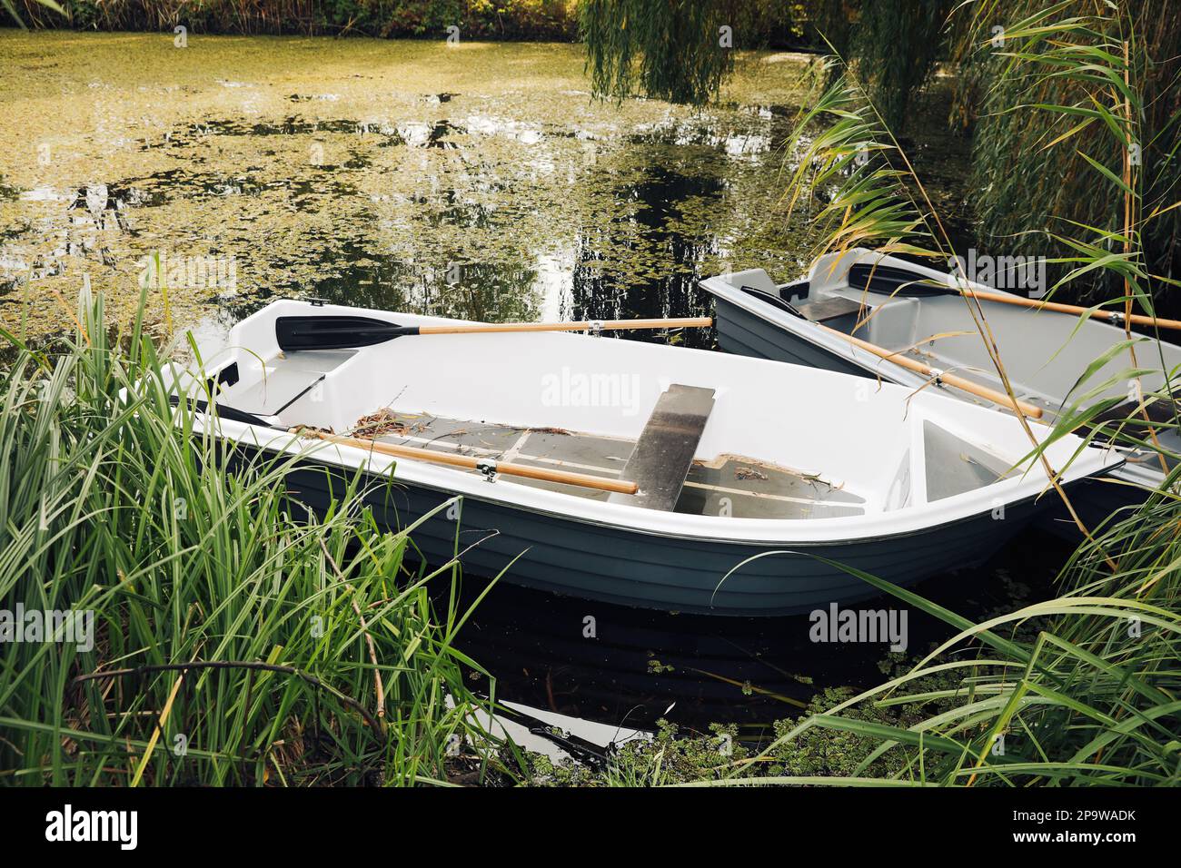 Modern boats with wooden oars on lake Stock Photo