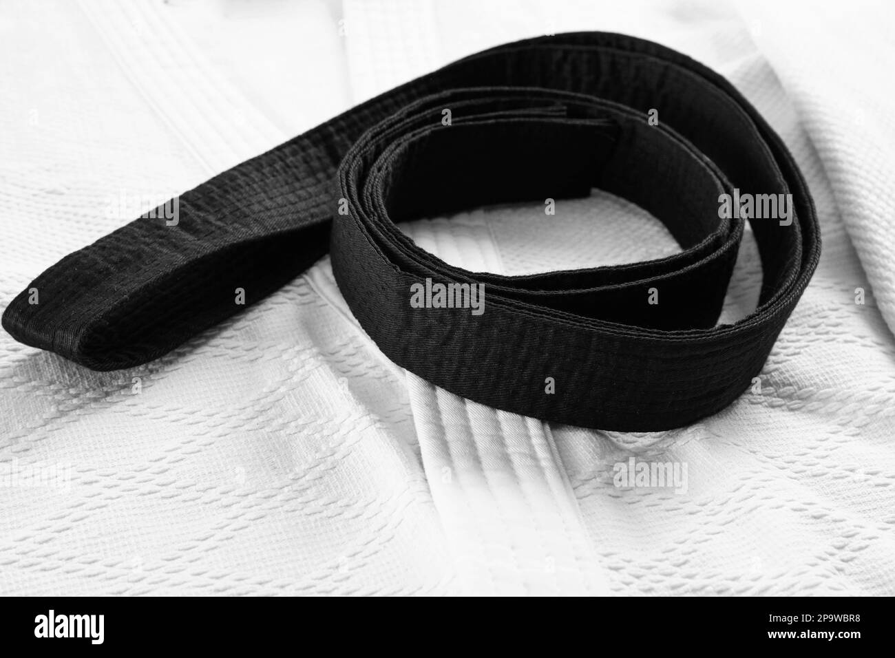 Kung fu black belt hires stock photography and images Alamy