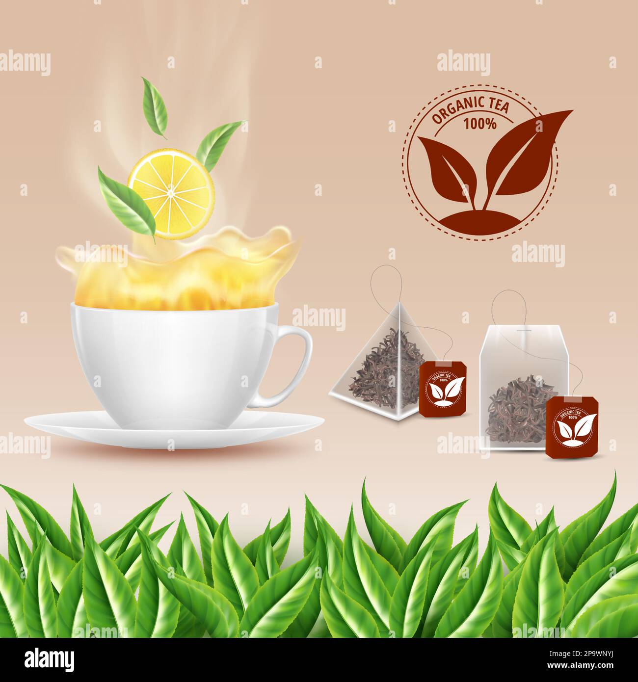 My Image 25