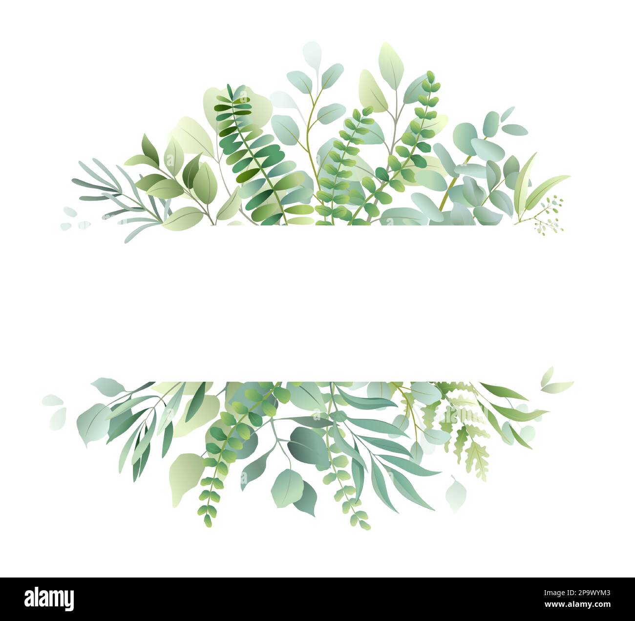 Greenery plants, watercolor eucalyptus border. Simple wedding decor, minimalist herbarium frame, menu with green leaf. Botanical cards and wildflower posters template. Vector isolated illustration Stock Vector