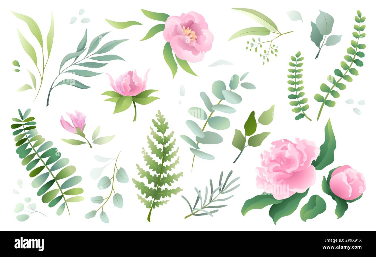 Watercolor flower bouquet, elegant plants, green branch. Wild eucalyptus and fern, floral leaf, spring green botanic wildflowers, pink roses. Herbal rustic wedding decor vector illustration collection Stock Vector