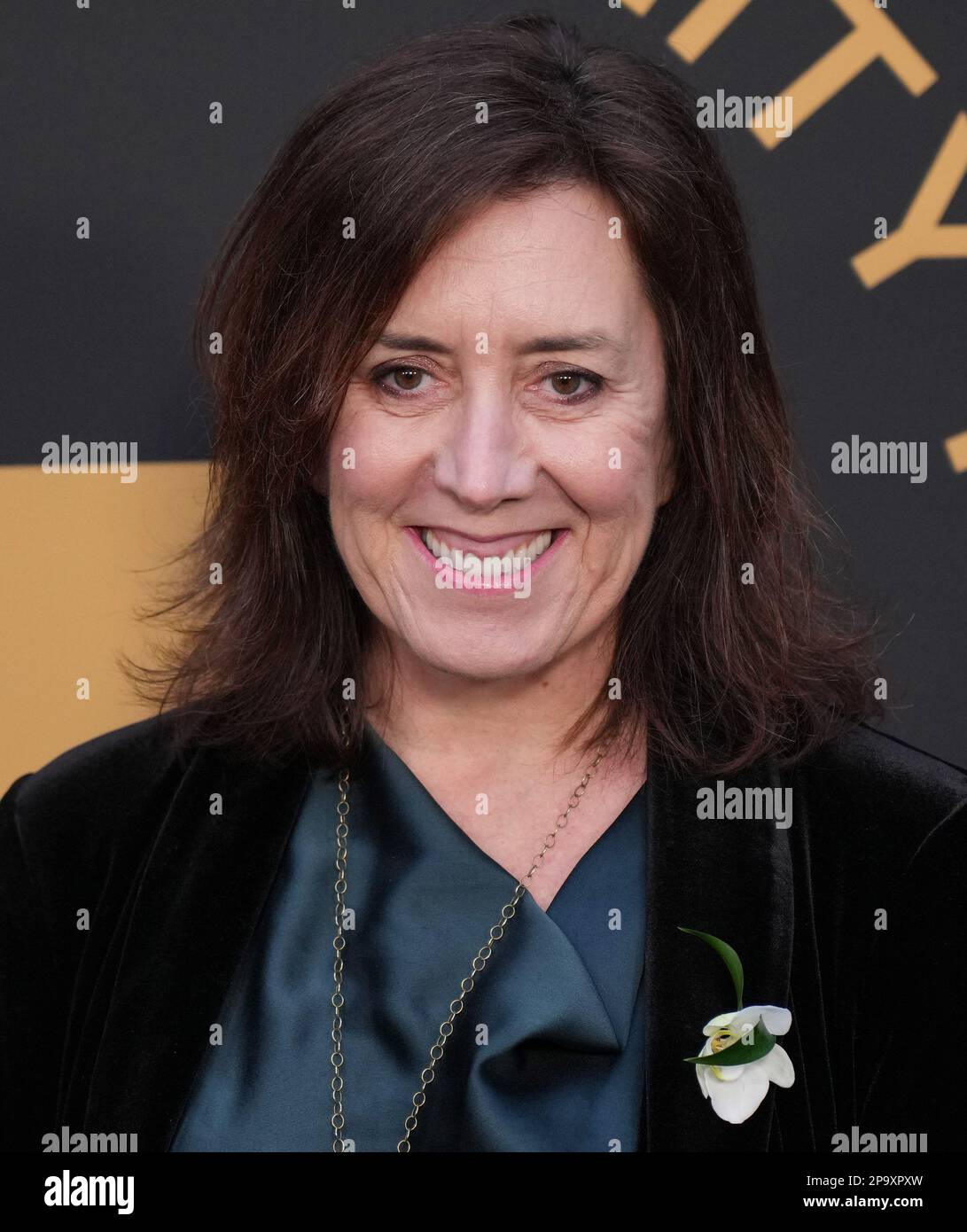 Diane becker hires stock photography and images Alamy