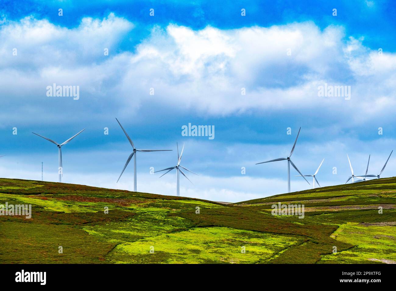 Fallago Rig Wind Farm Fallago rig wind farm hi-res stock photography and images - Alamy