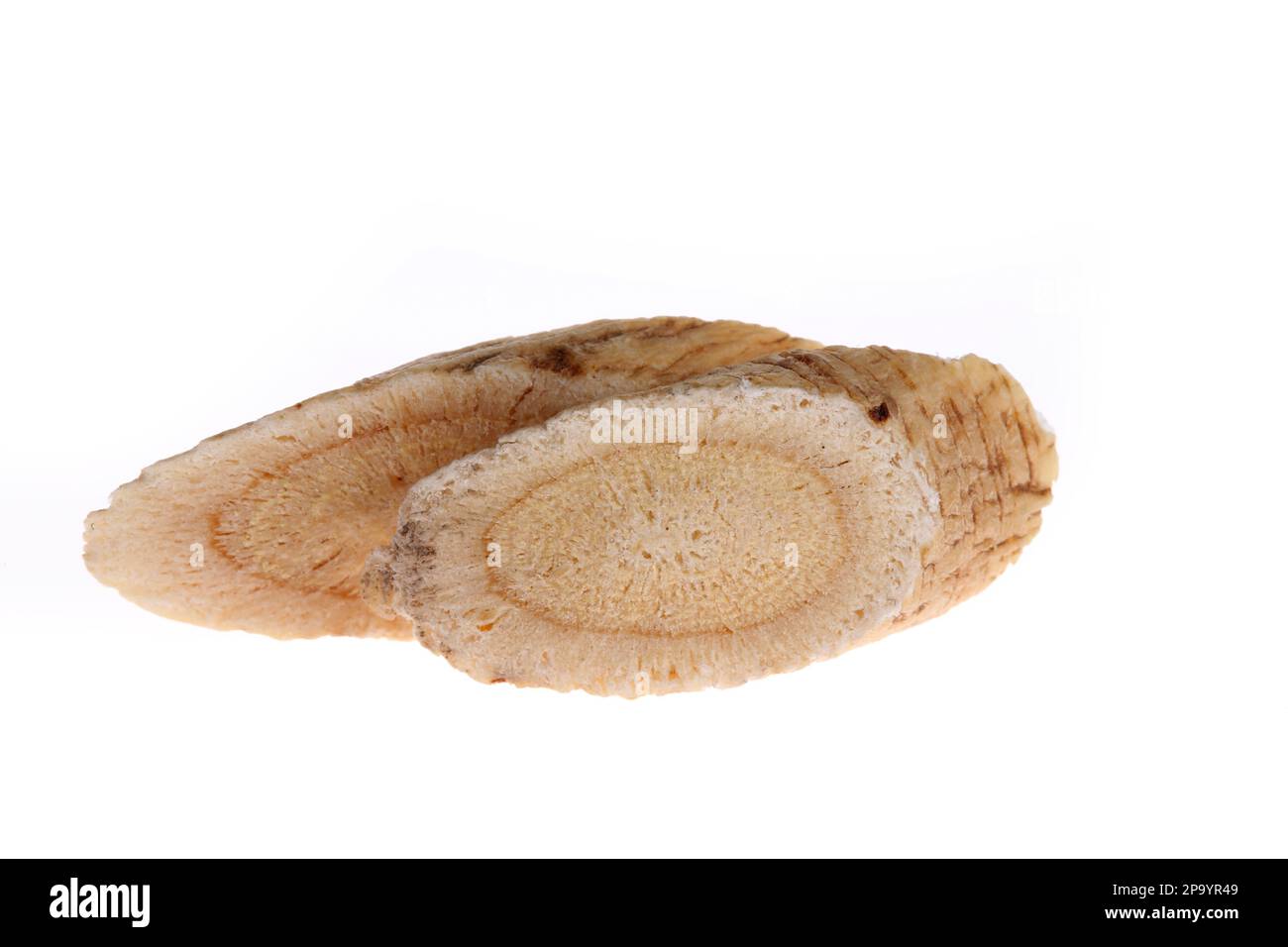 Chinese herbal medicine astragalus membranaceus on a white background, close-up pictures Stock Photo