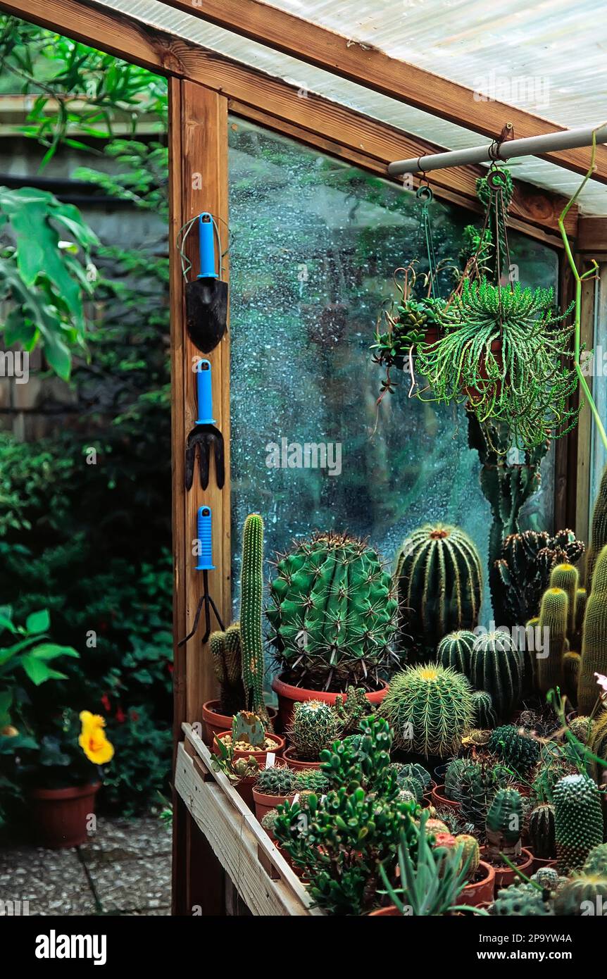 heirloom flower seeds 500 Piece Heritage Heirloom Vegetable and Herb Seed Packet Retail POS  Corrugated Display main image 1