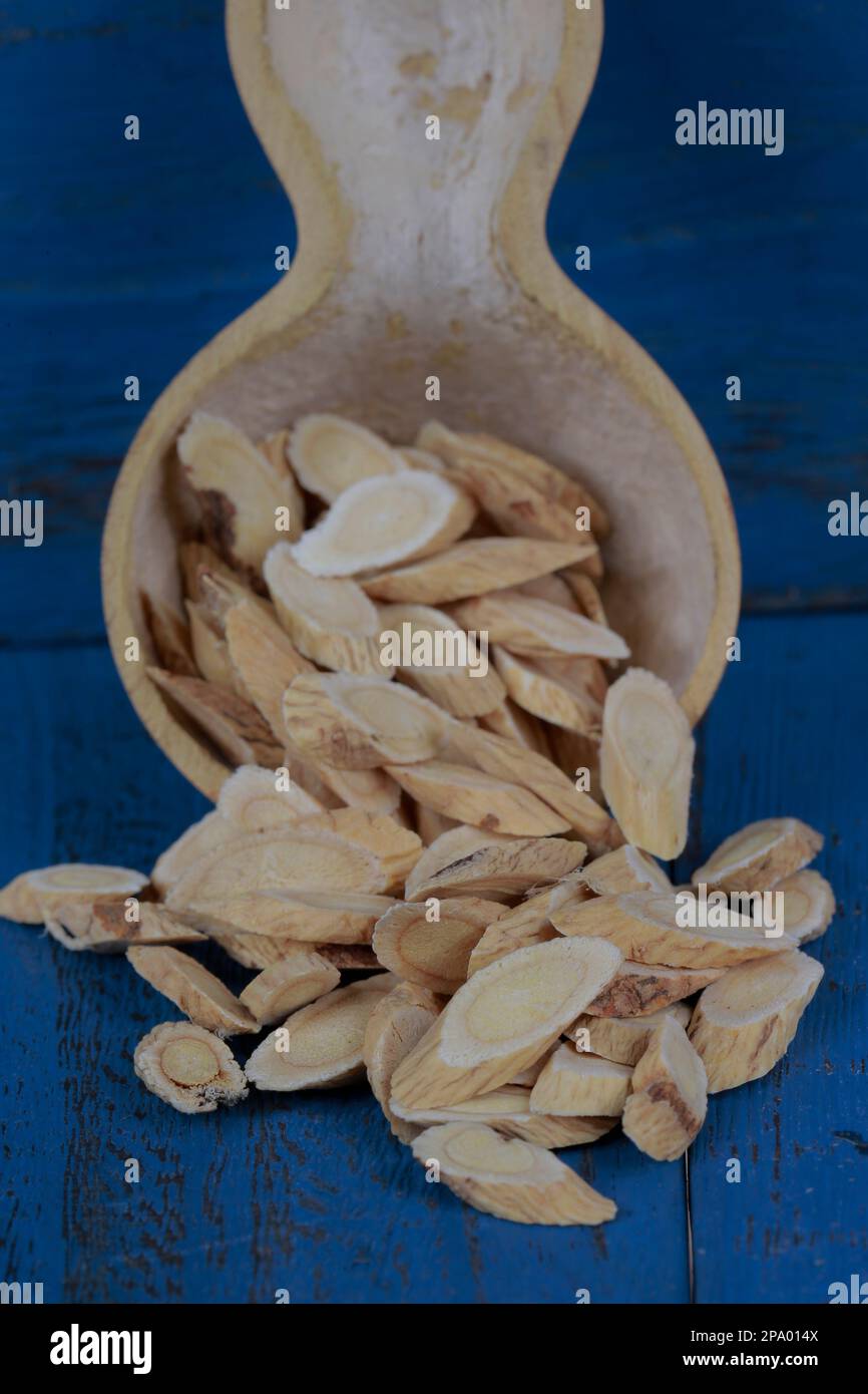 Chinese herbal medicine astragalus membranaceus on a white background