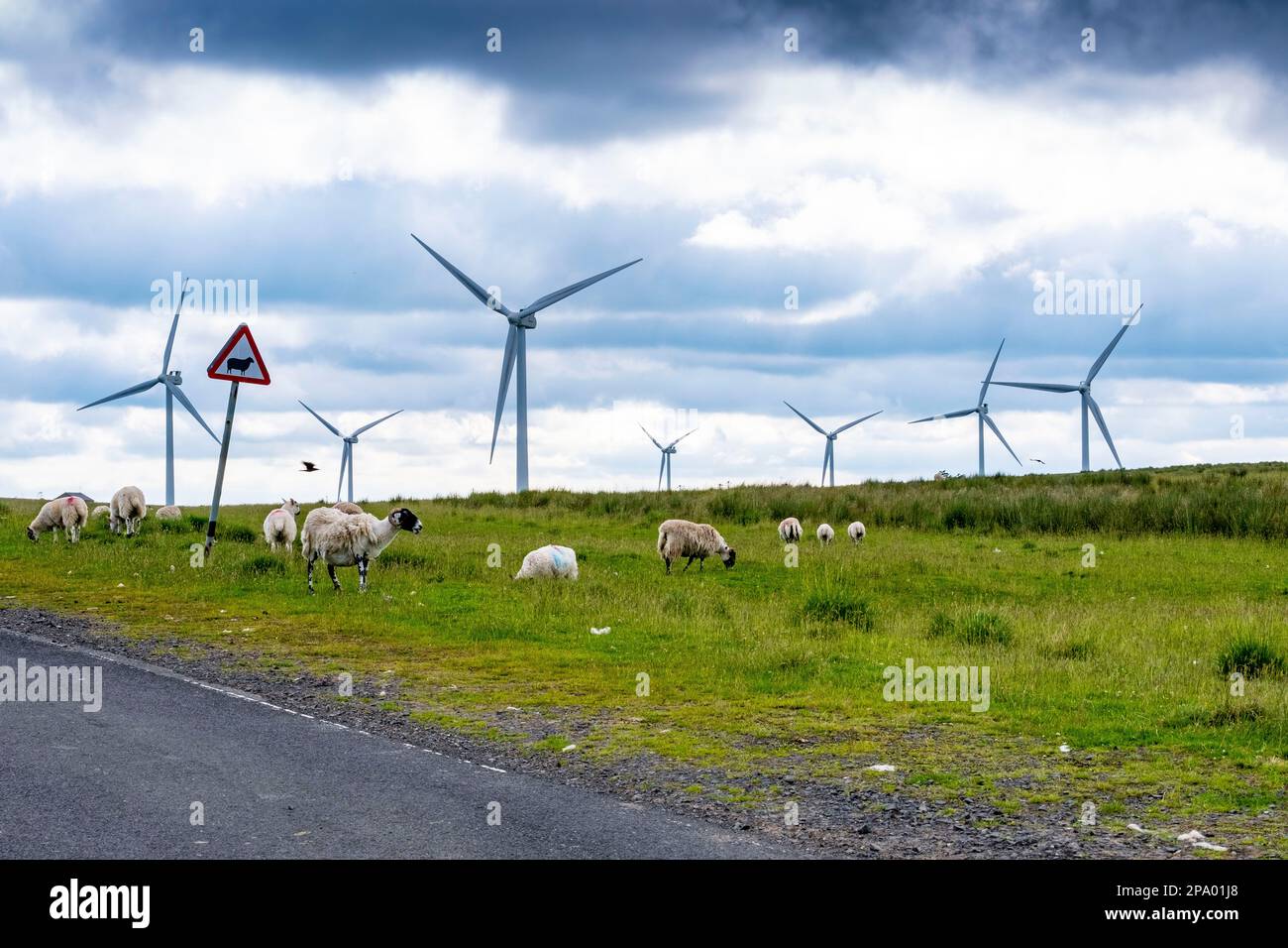 On shore British Windfarms Green Rigg Wind farm Stock Photo Alamy