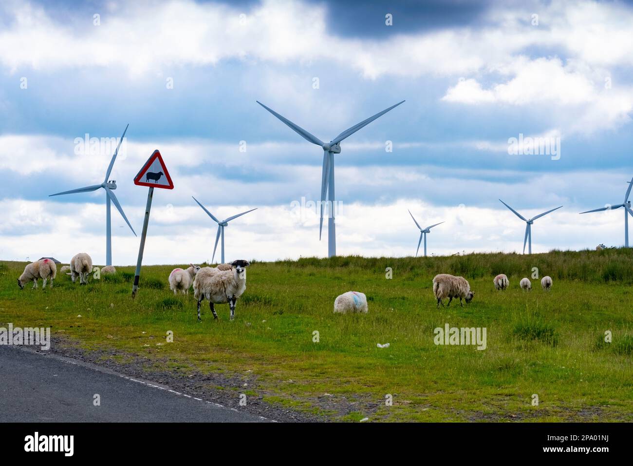 On shore British Windfarms Green Rigg Wind farm Stock Photo Alamy