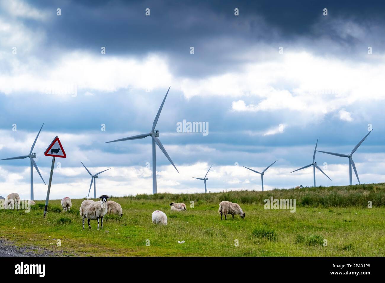 On shore British Windfarms Green Rigg Wind farm Stock Photo Alamy