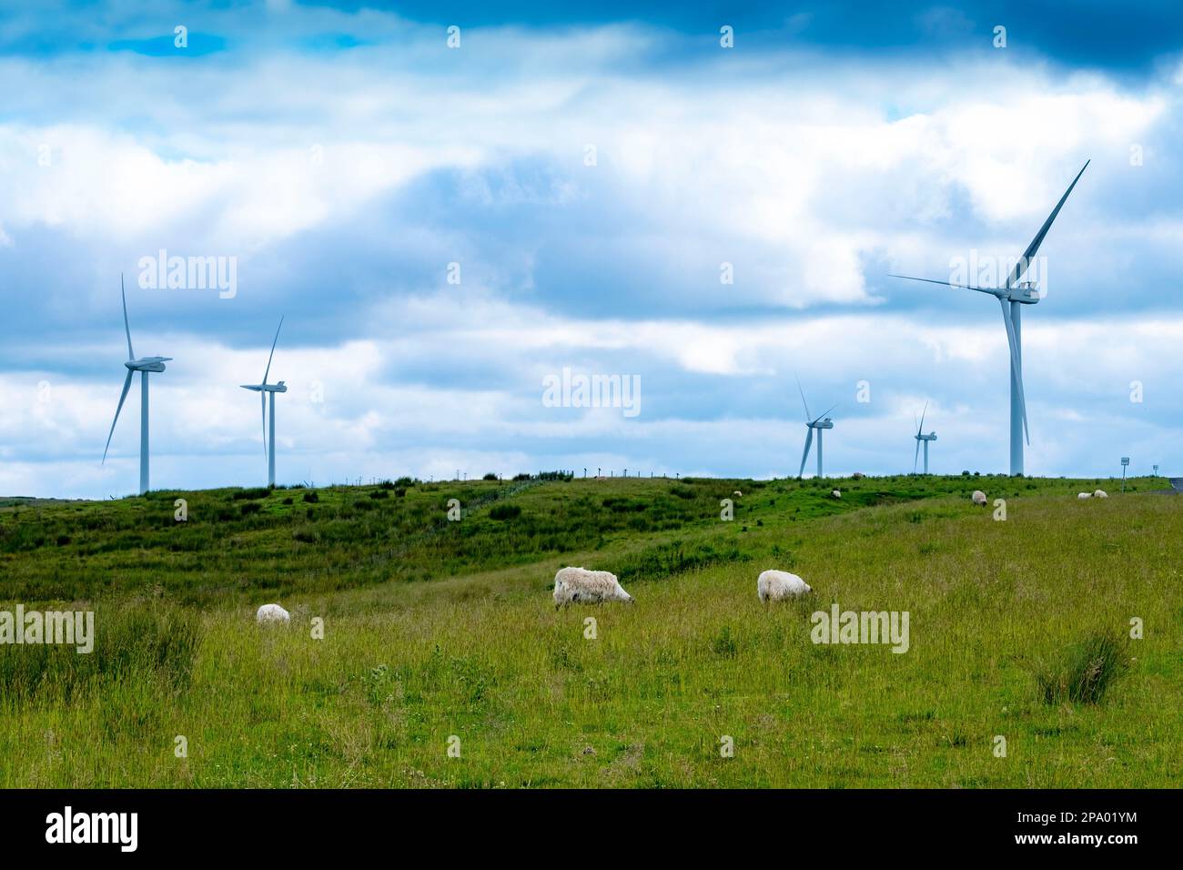 On shore British Windfarms Green Rigg Wind farm Stock Photo Alamy
