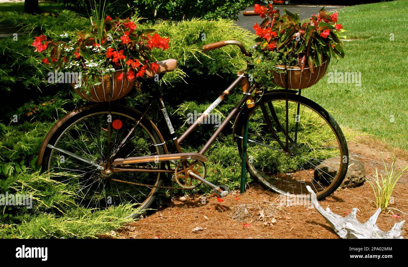 Old bicycle price hot sale
