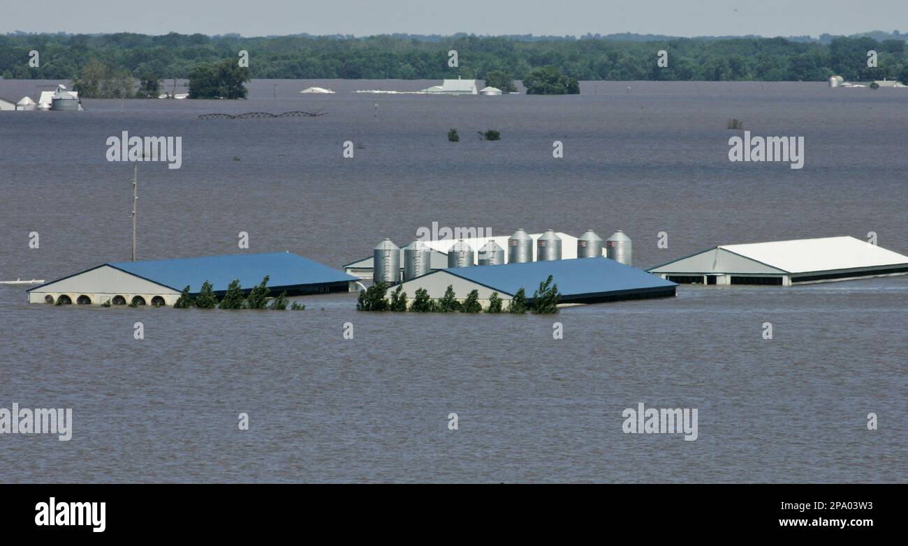 ** FILE ** In this June 16, 2008 file photo, a flooded hog farm, which used to be surrounded by