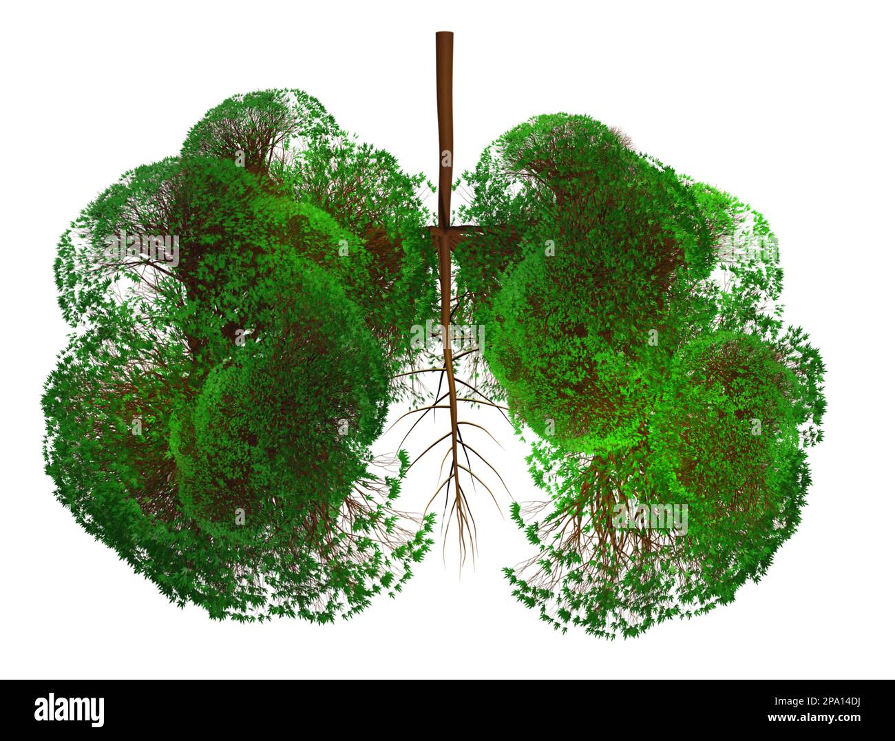 Abstract silhouette of lungs made of trees with green leaves on white