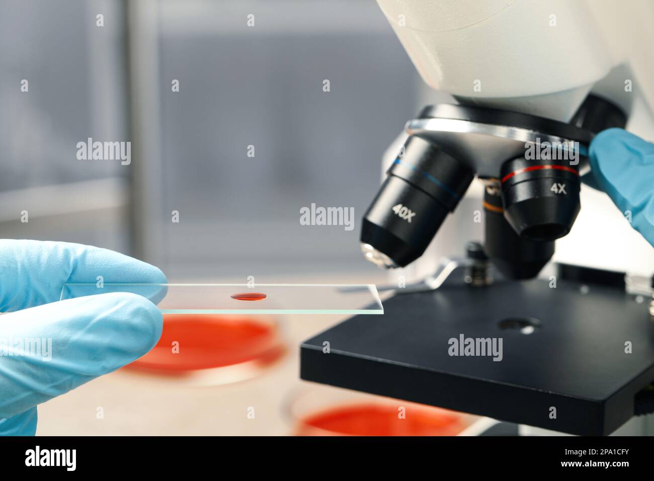 Scientist examining sample of red liquid on slide under microscope in