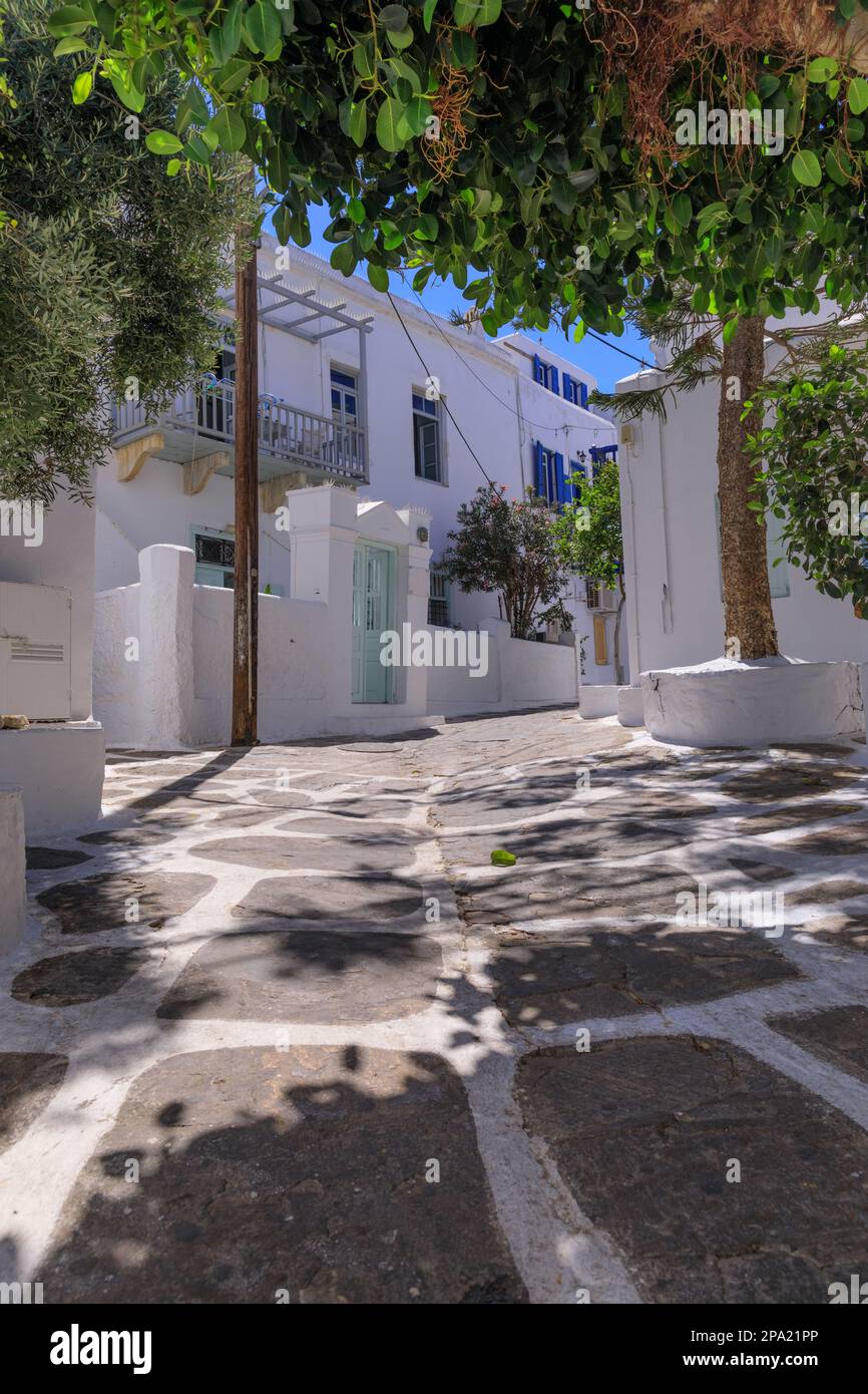 Mykonos old town in Greece: whitewashed dotted alley. Typical white Greek houses of Cyclades Islands with blue doors and windows on narrow streets. Stock Photo