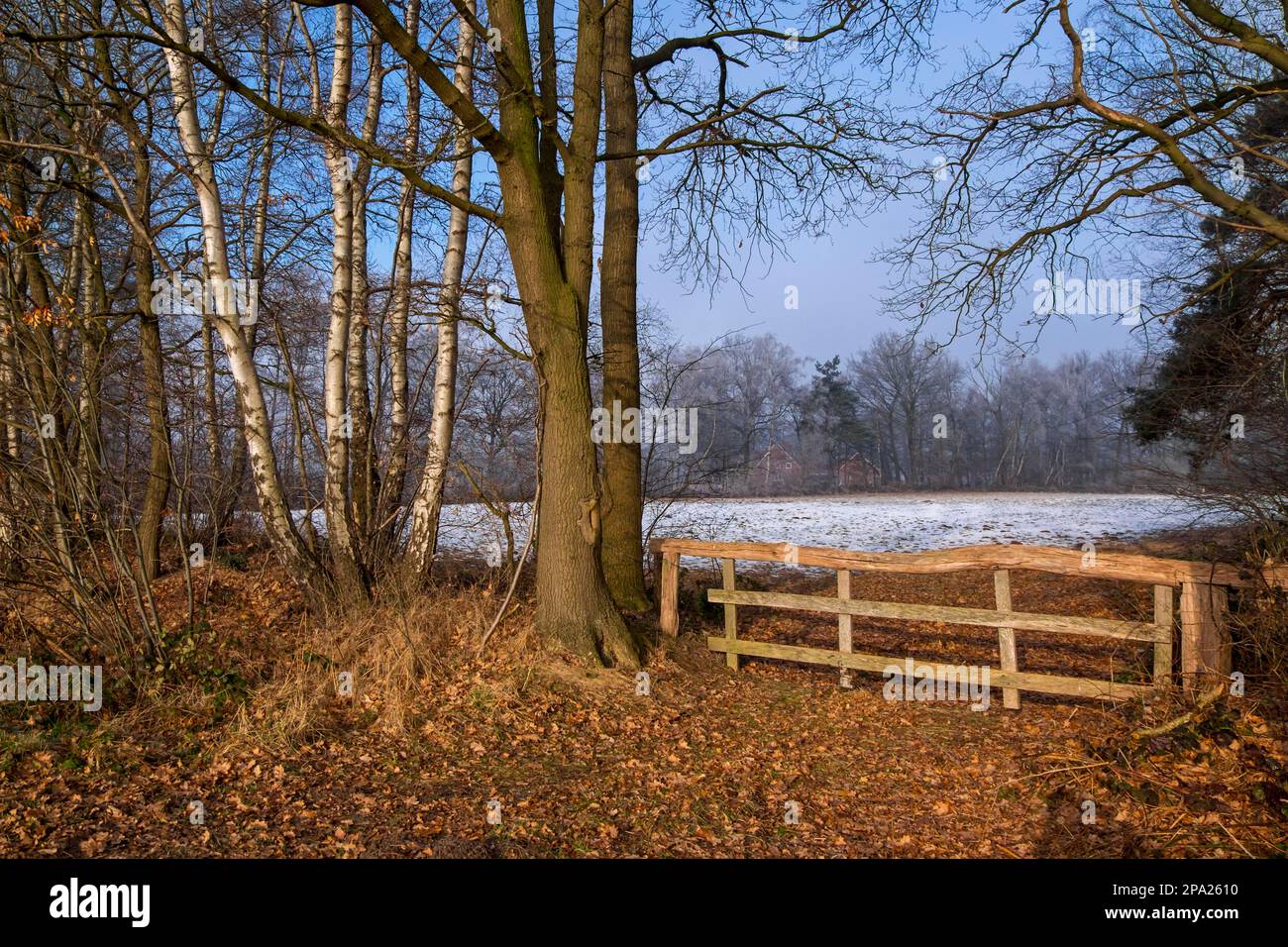 Old Wooden Cattle Fence Stock Photo Alamy old-wooden-cattle-fence-stock-photo-alamy