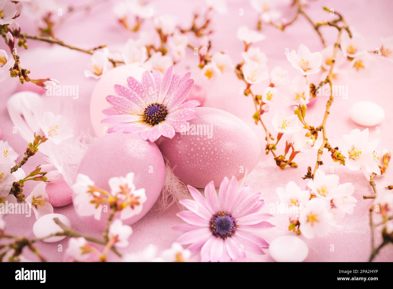 Pink Easter eggs with blooming branch, flowers and sweets for Easter and spring Stock Photo