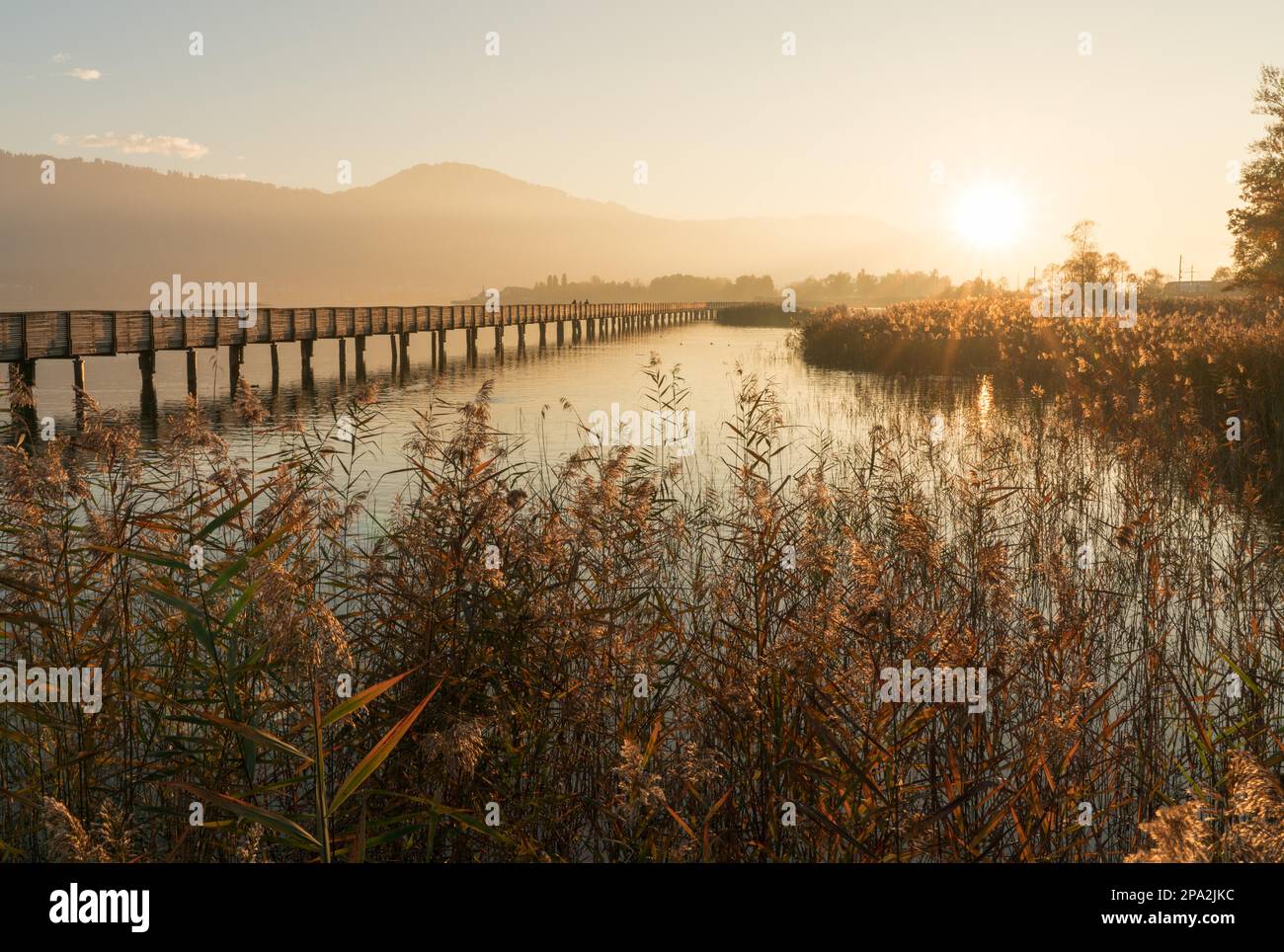 Long wooden pier and boardwalk over Lake Zurich near rapperswill in golden evening light with silhouette of pedestrians and people walking and Stock Photo