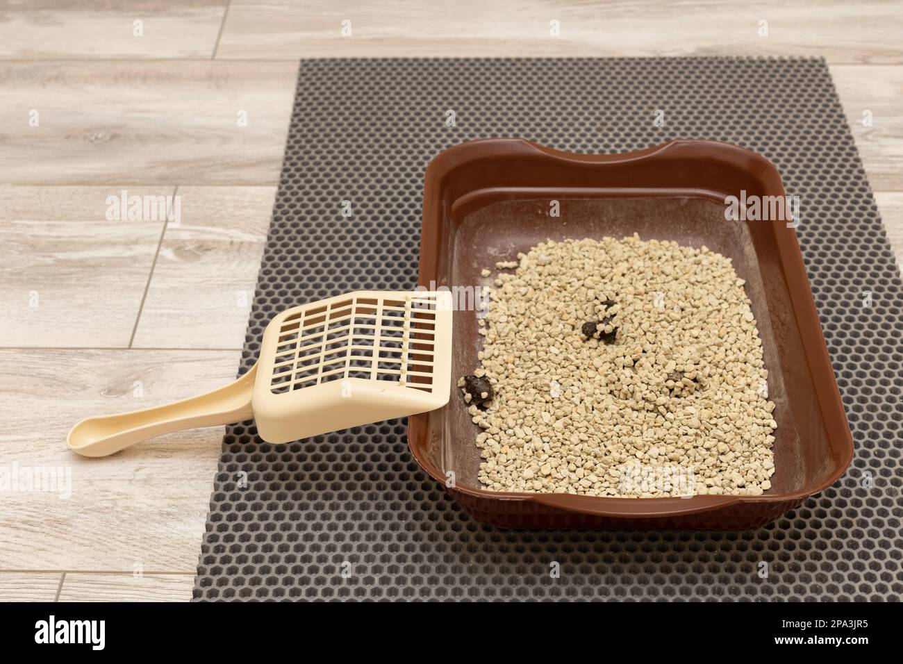 cat toilet in which the cat went. toilet for cats. dry cat litter box Stock Photo Alamy