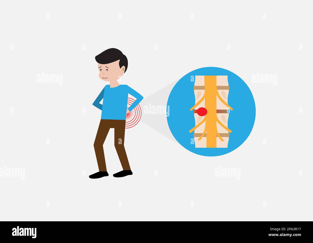 Lumbar nerve Stock Vector Images Alamy