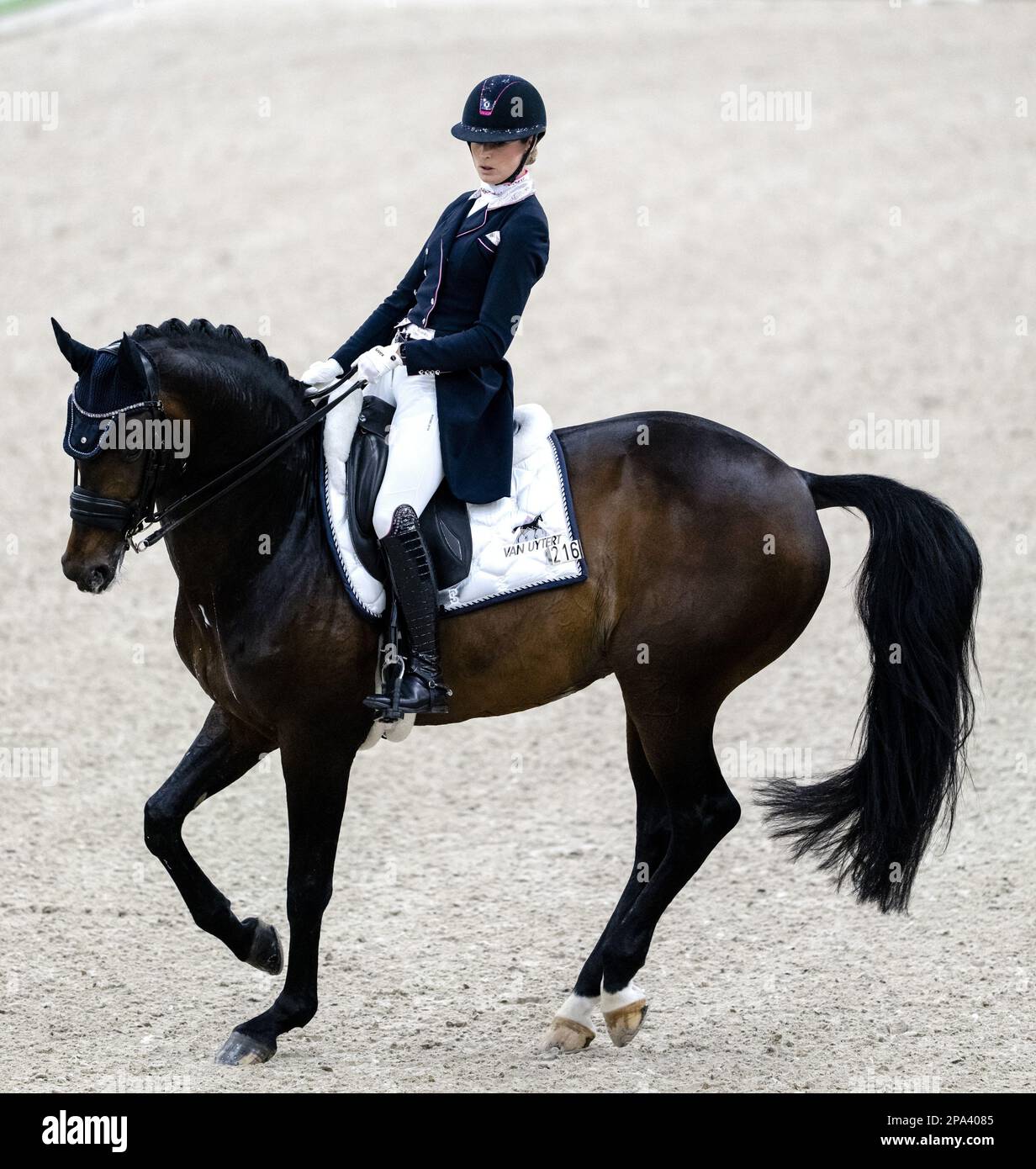 DEN BOSCH - Dinja van Liere (NED) on Hermes NOP in action on the dressage kur to music during The Dutch Masters Indoor Brabant Horse Show. AP SANDER KING Stock Photo