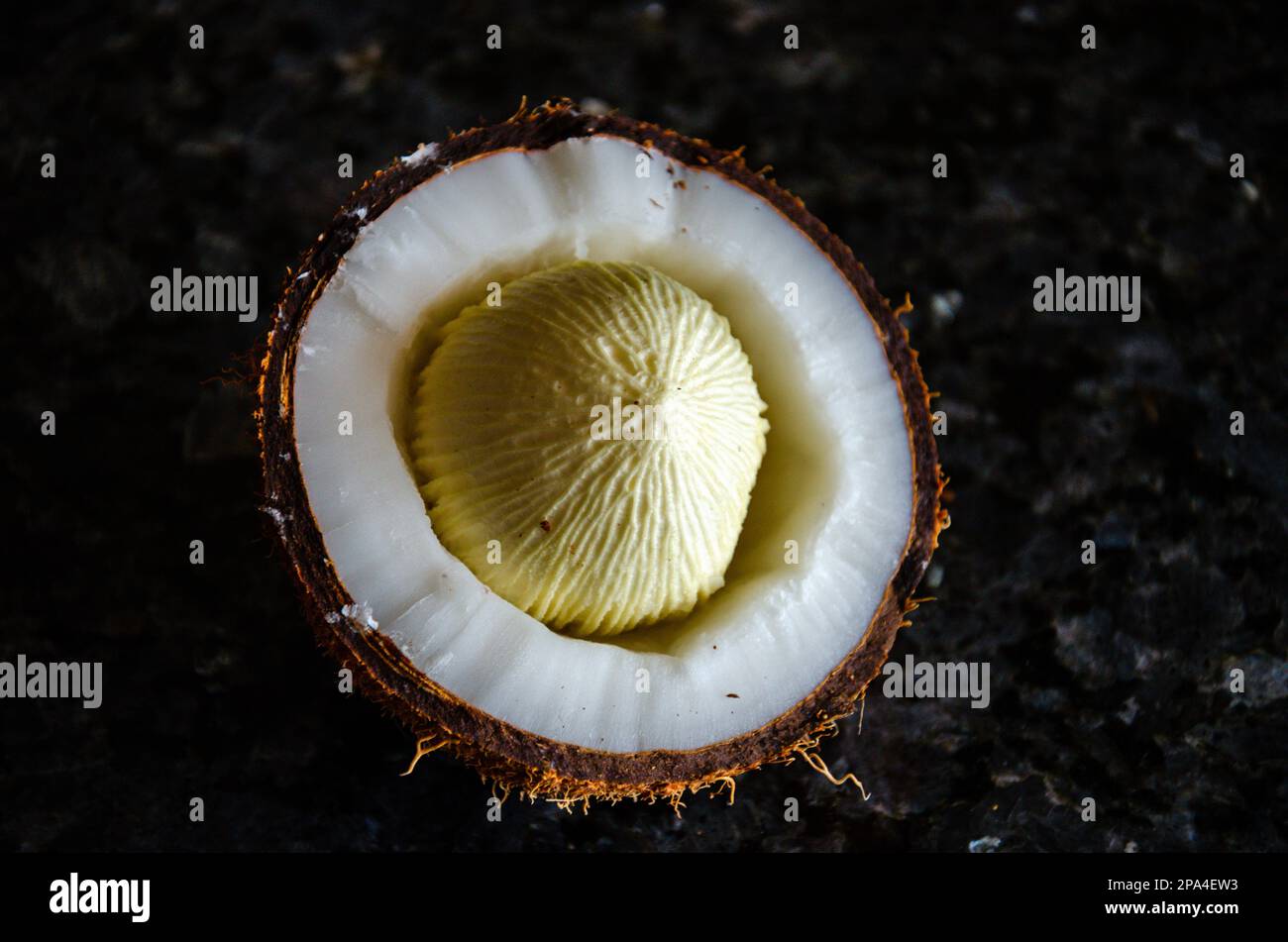 Coconut sprout in a cut coconut Stock Photo Alamy