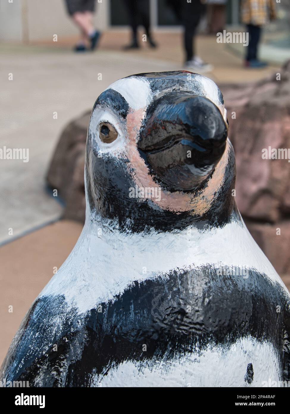 Kansas City, Missouri - March 4, 2023 - Cape Penguin sculpture at the