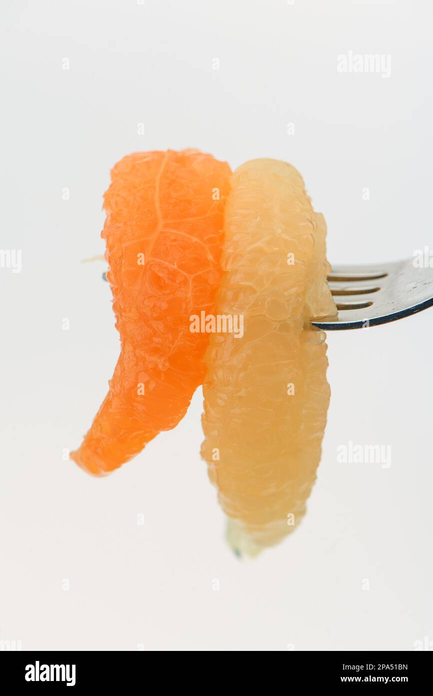 Different coloured grapefruit segments pierced on fork ready to eat