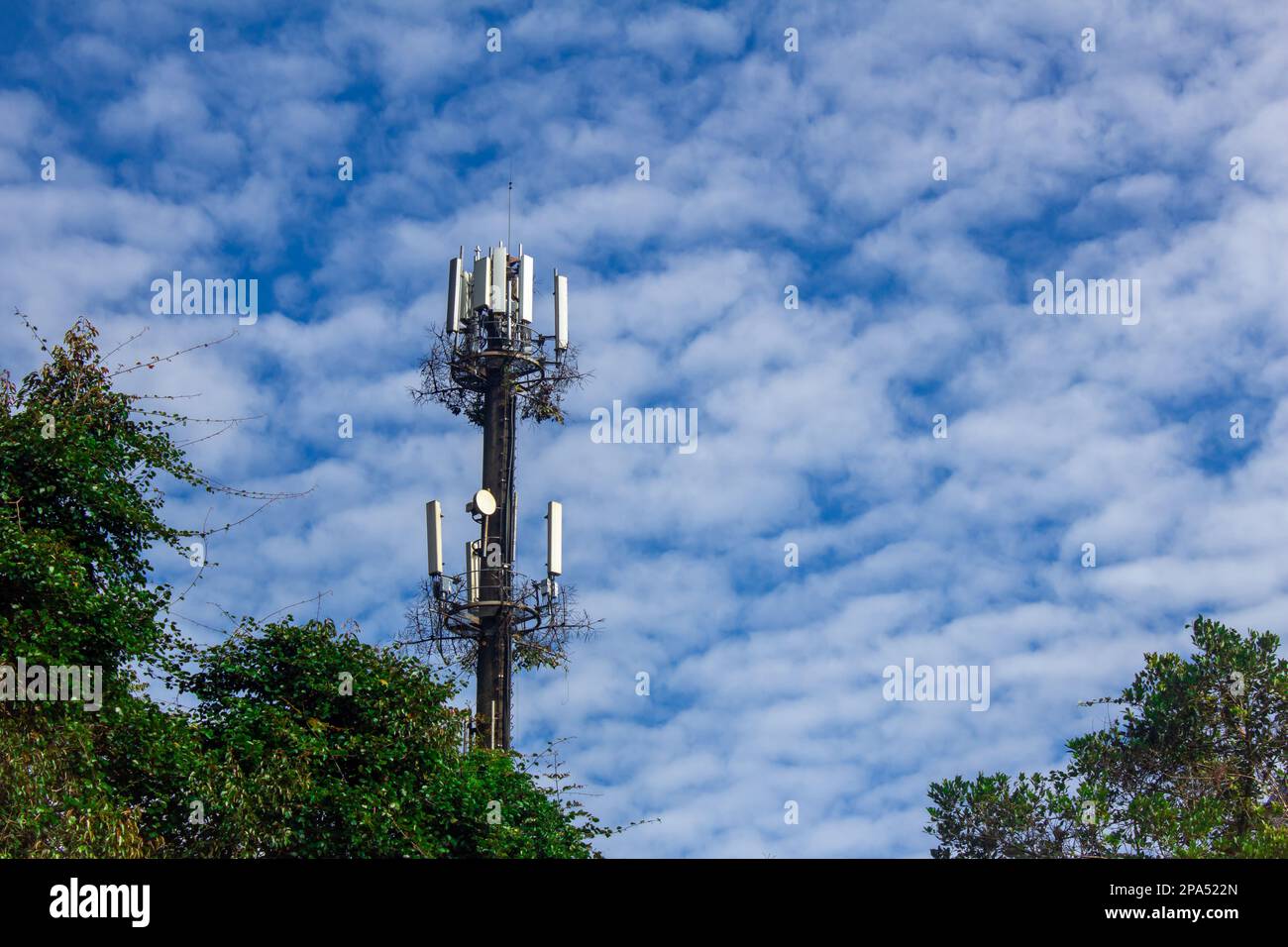Cellular phone antenna in a national park with sky background. Antennas