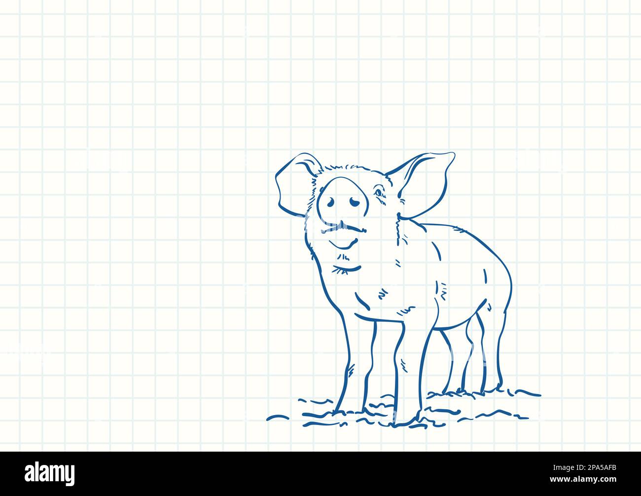 Pig, Blue pen sketch on square grid notebook page, Hand drawn vector