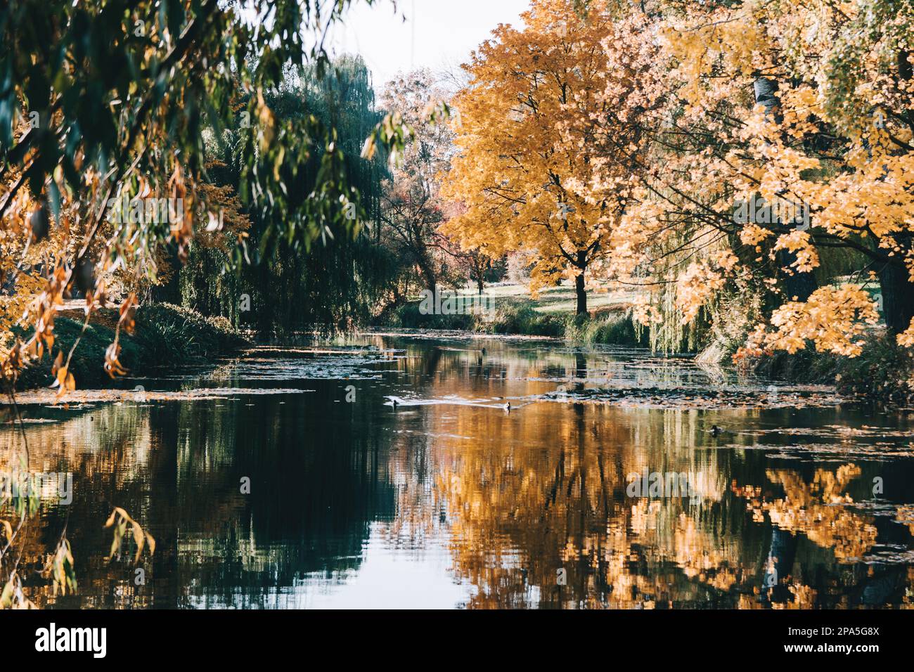 Landscape of park hi-res stock photography and images - Alamy