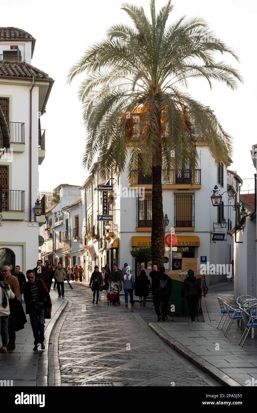 Cordoba old town, Spain Stock Photo