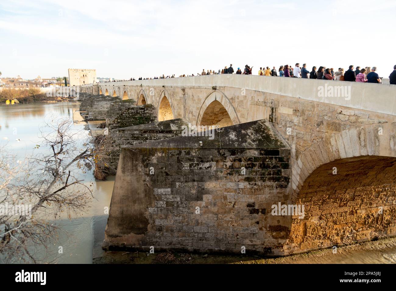 Roman Bridge in Cordoba, Andalusia, Spain Stock Photo