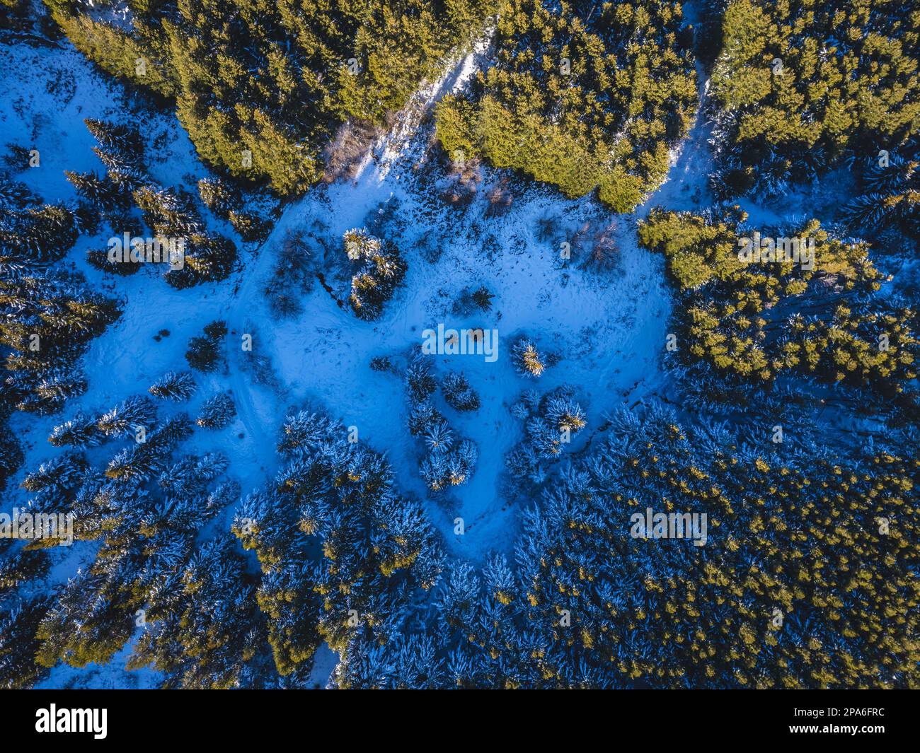 This idyllic winter scene features a road winding up through a forest covered in a blanket of