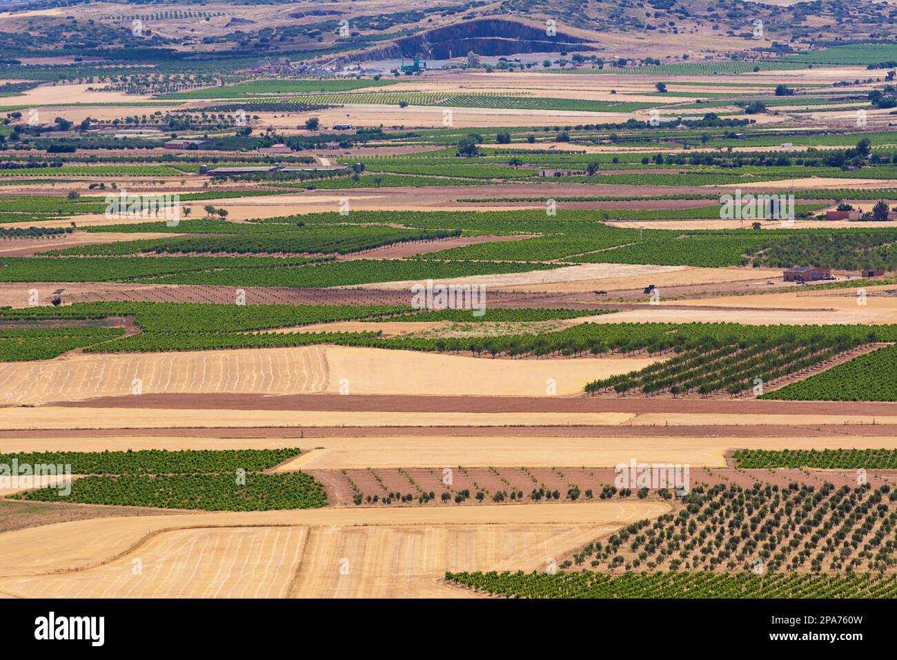 La Mancha plain with geometries of agricultural plots of land Stock Photo