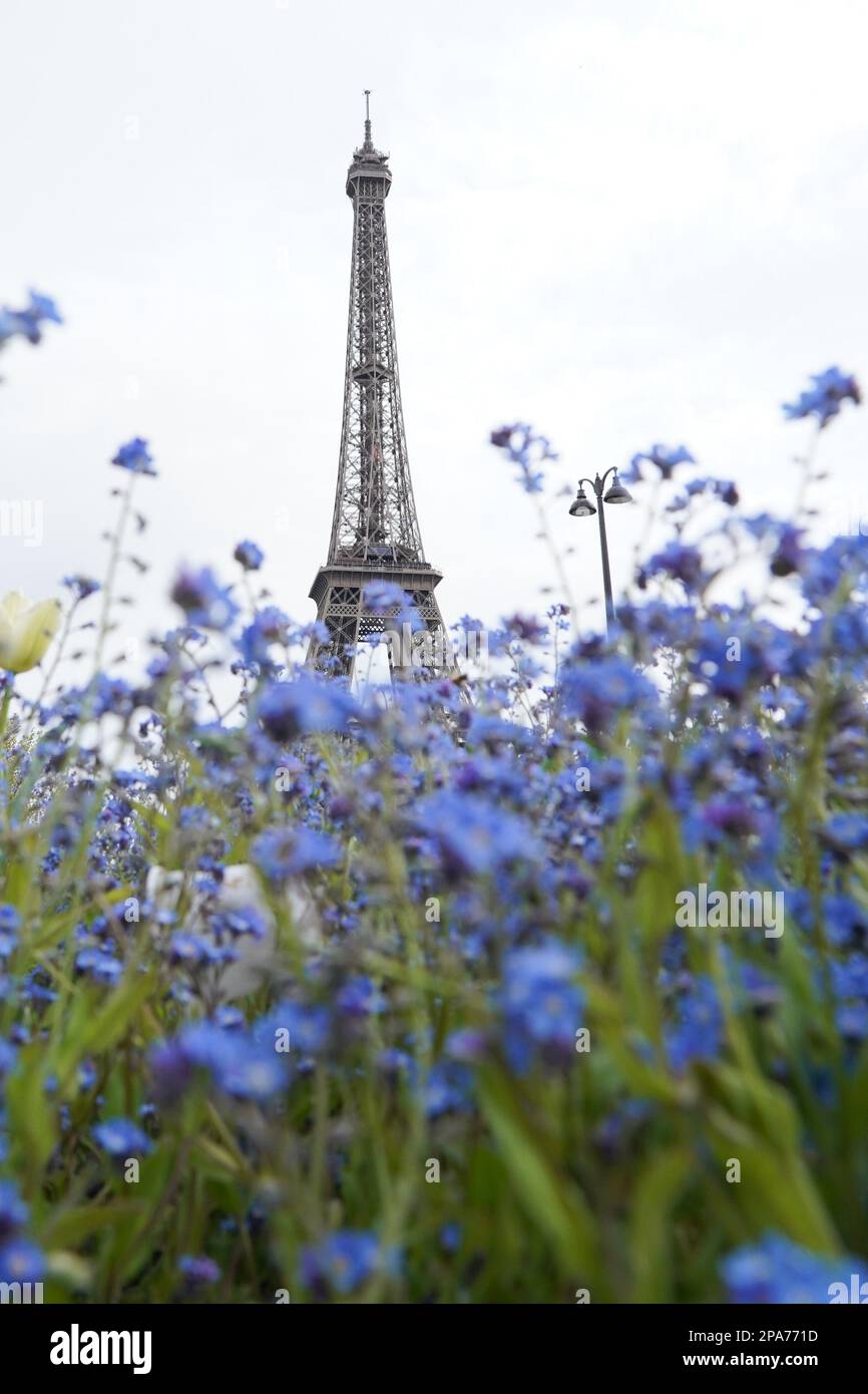 Eiffel Tower seen from Trocadero gardens, Paris, France Stock Photo