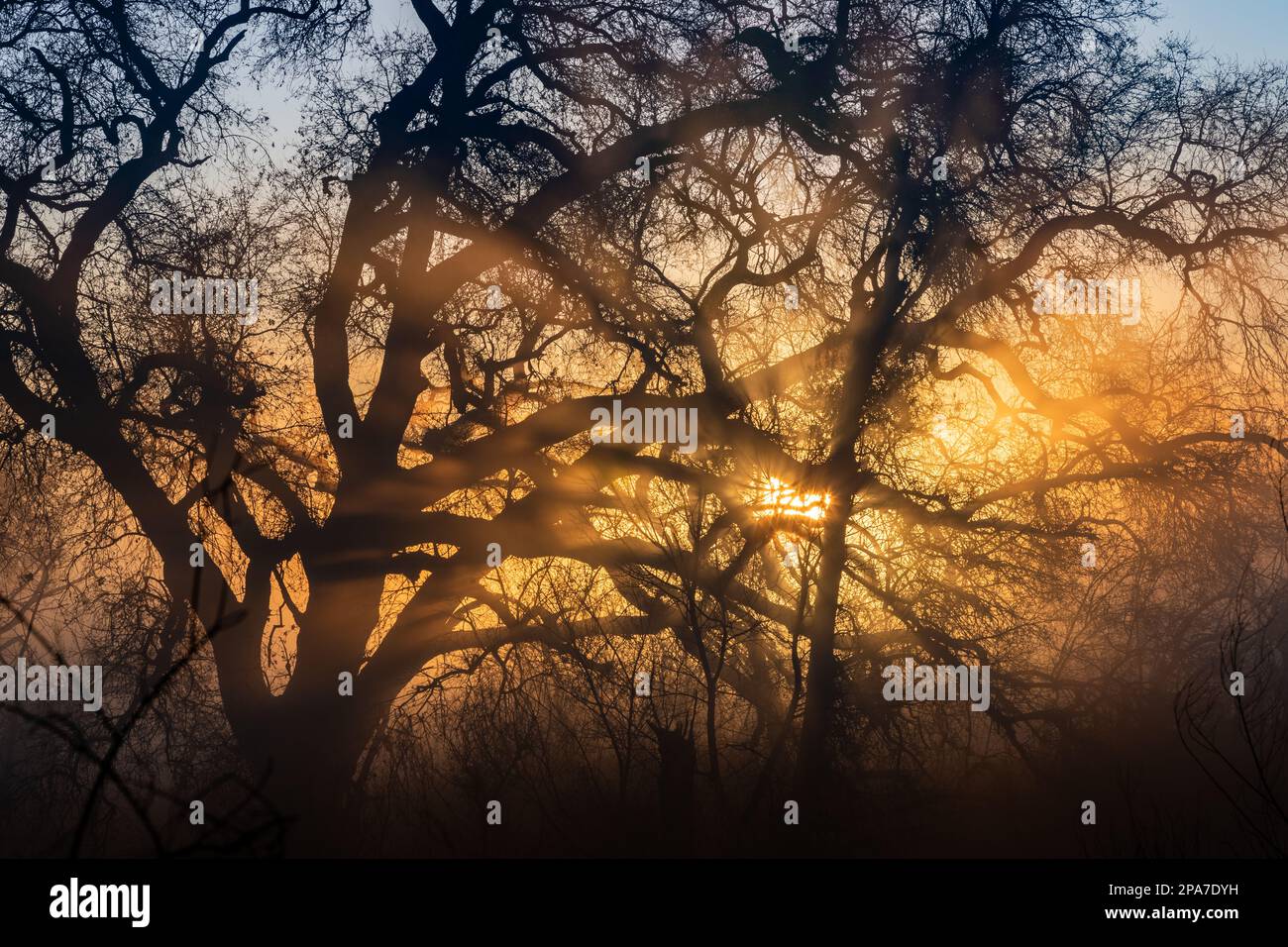 Early morning sun rays hi-res stock photography and images - Alamy
