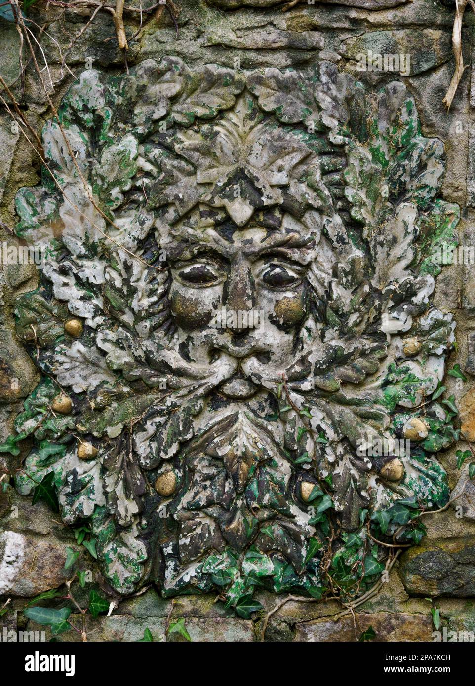 Green man relief on a wall in wales UK Stock Photo