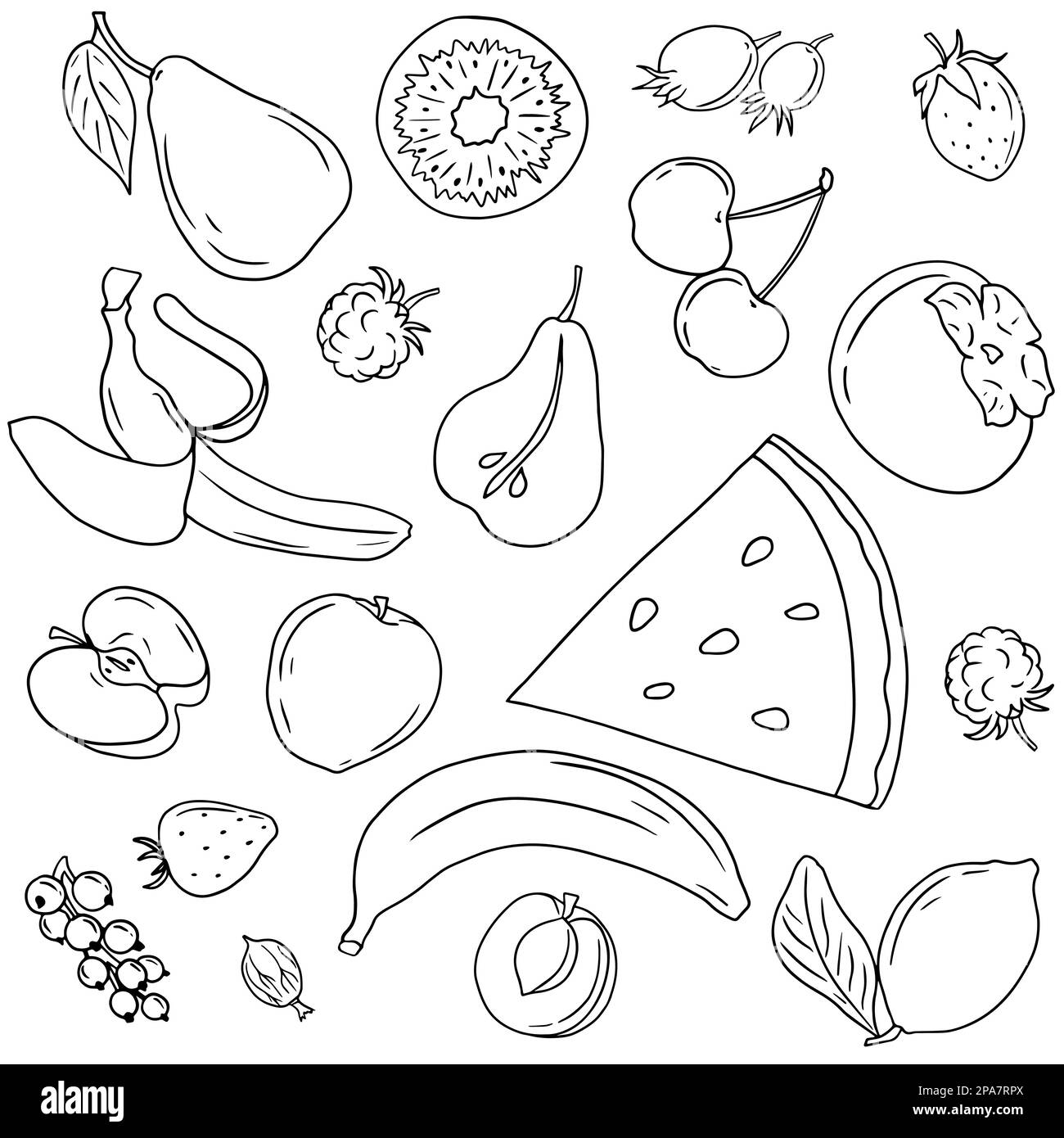 Natural product. Set of various doodles, hand drawn rough simple