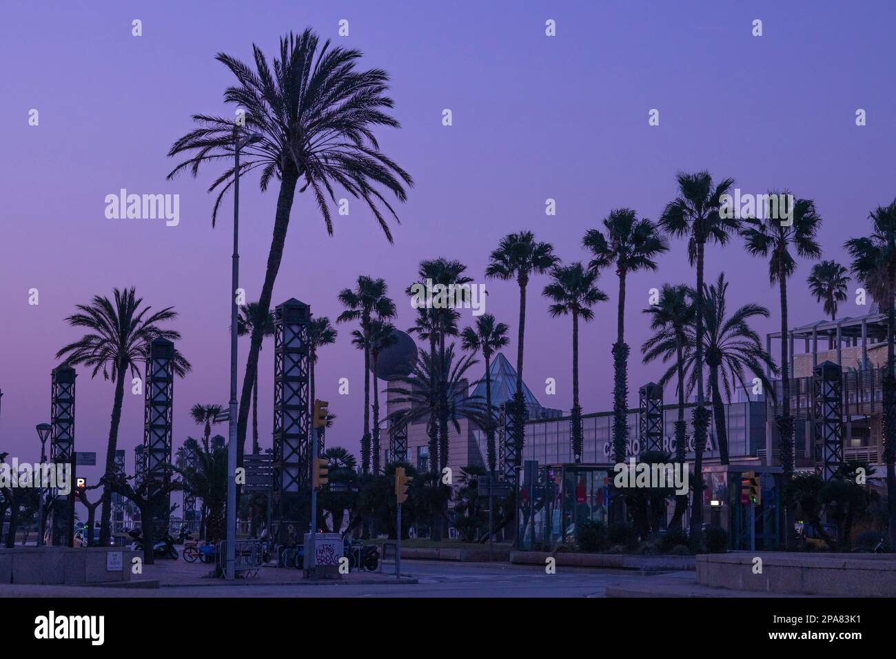 Palm trees near Casino Barcelona before sunrise Stock Photo