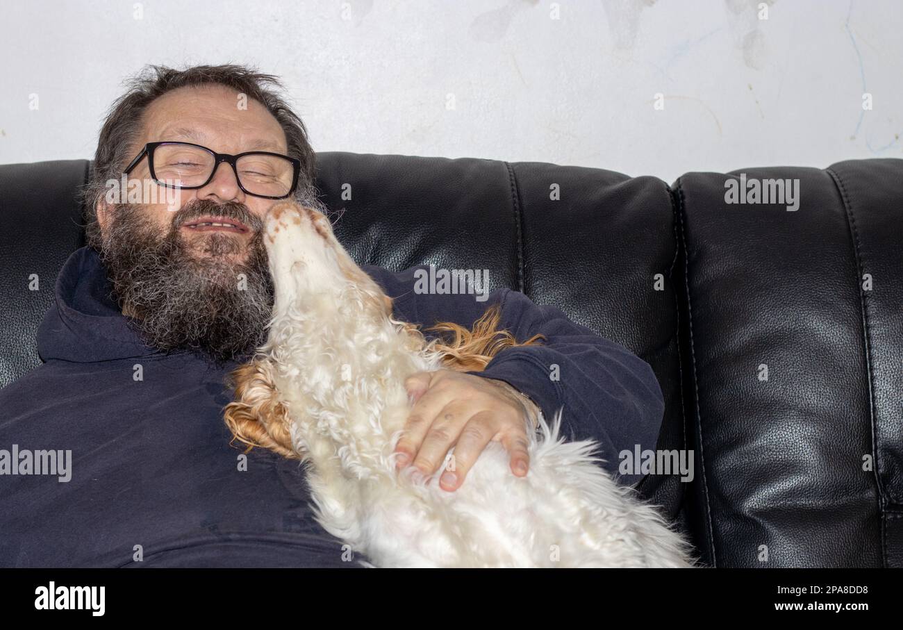 Spaniel dog licking face of elderly man with beard sitting on black