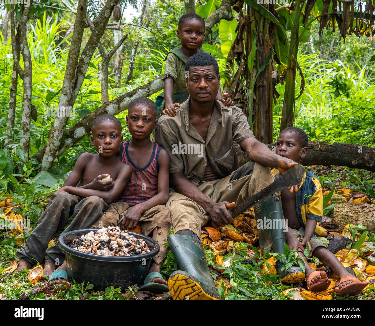 Family members at their cocoa farm in Ondo State, Nigeria Stock Photo
