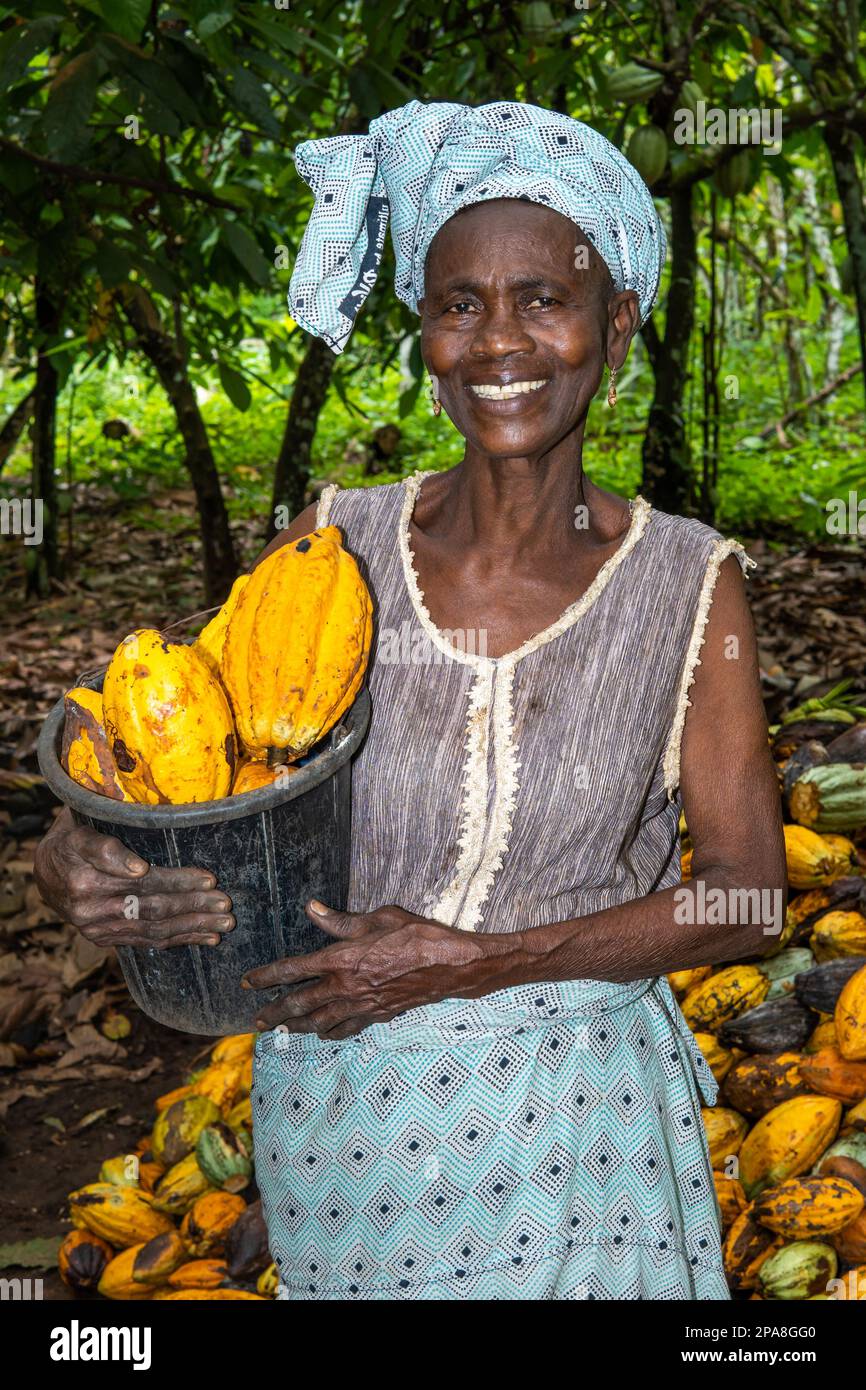 Portrait of a cocoa farmer at her farm in Ondo State, Nigeria. Stock Photo