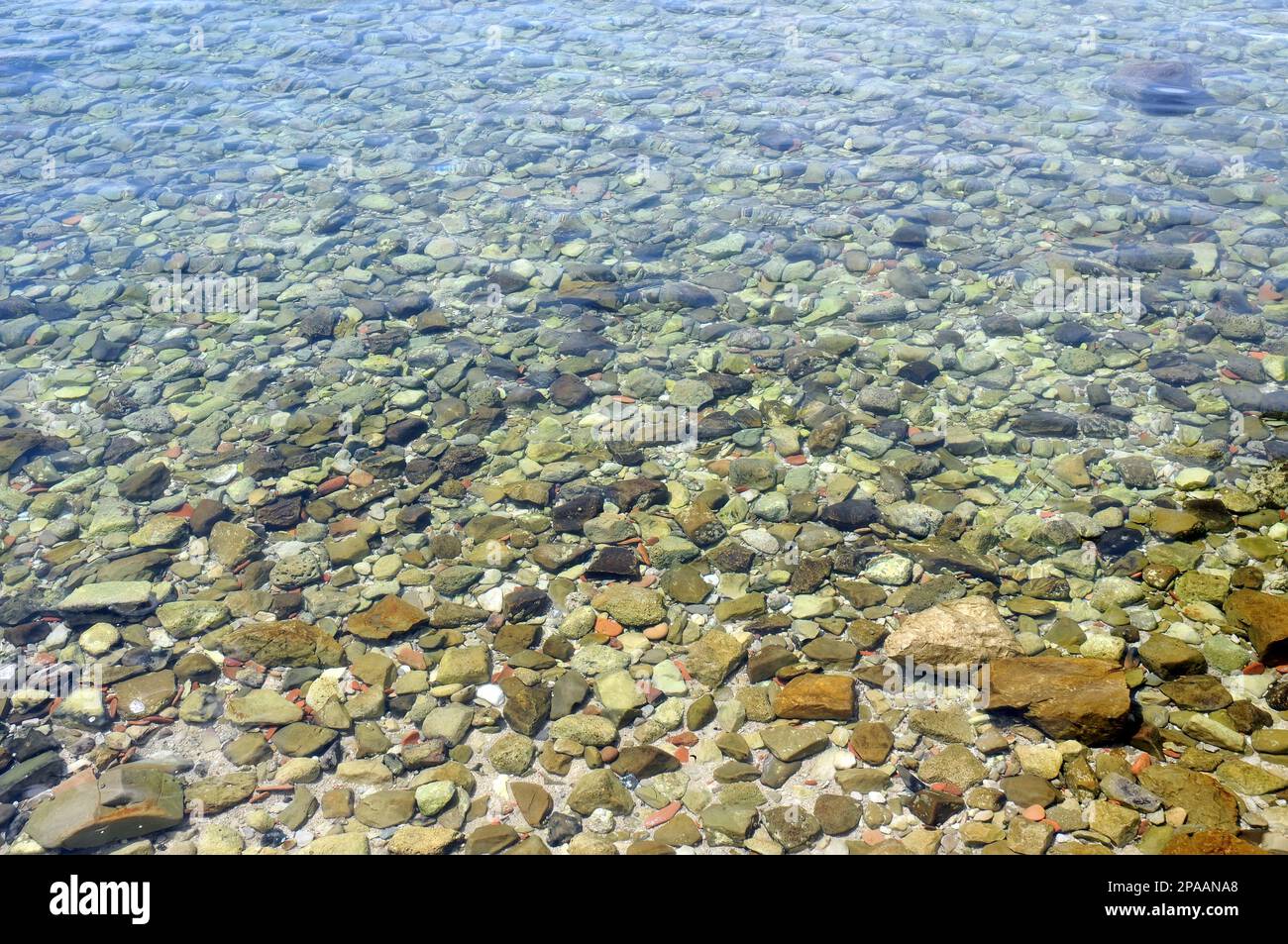 Sea bed, Mediterranean sea Stock Photo