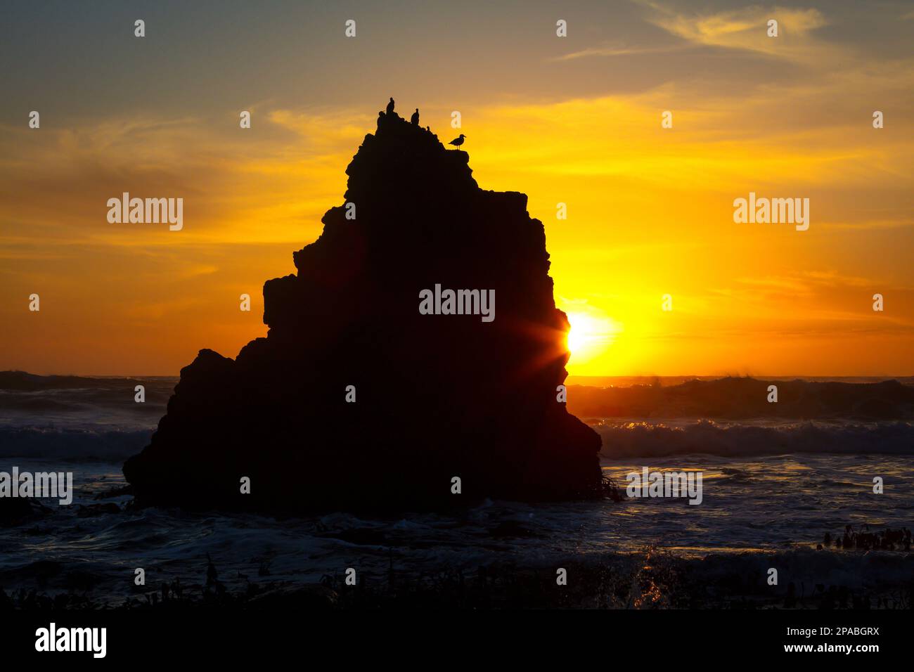 Bird Rock Sunset Stock Photo