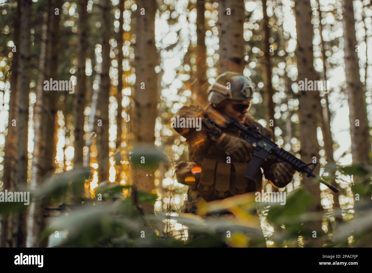 A modern warfare soldier on war duty in dense and dangerous forest ...